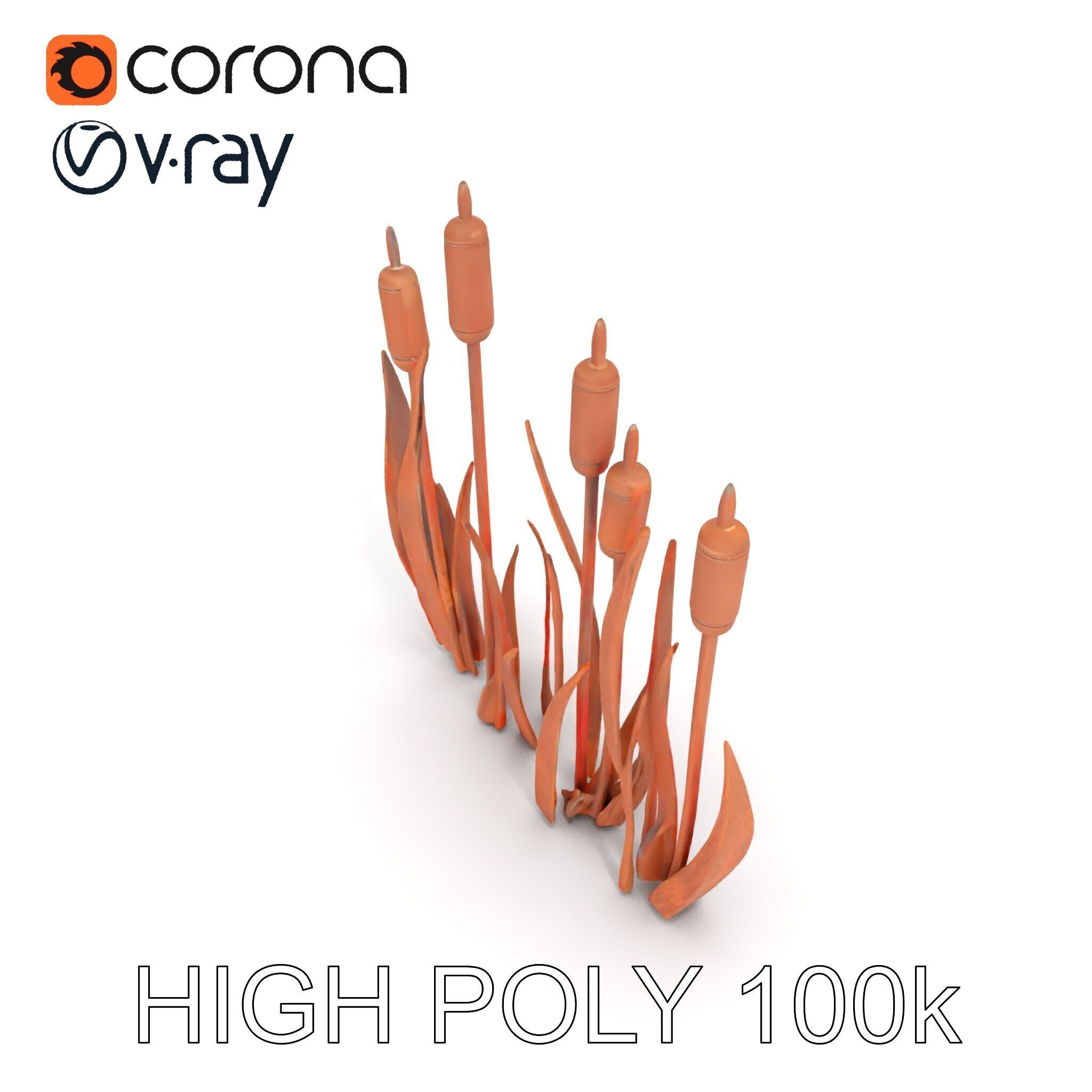 Rustic Cattail Reeds Model Pack Low-poly 3D model_14