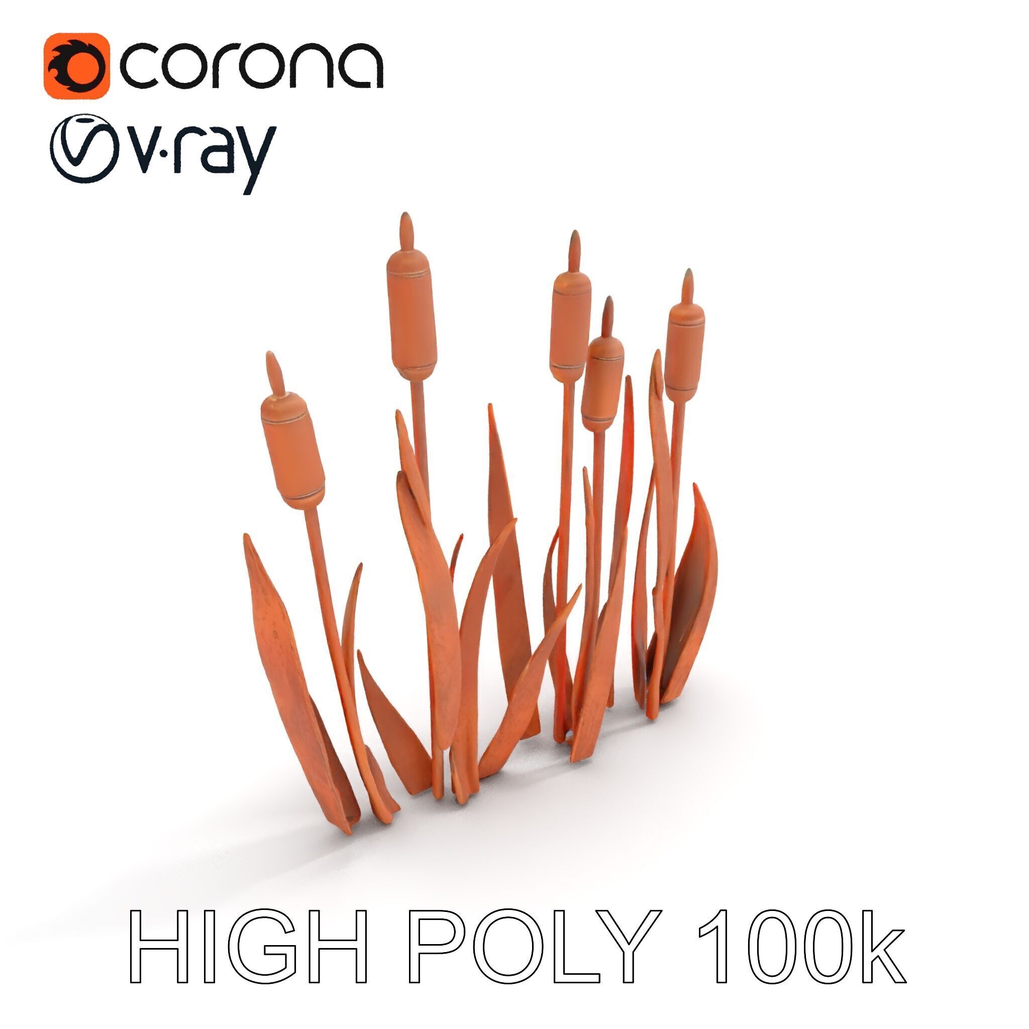 Rustic Cattail Reeds Model Pack Low-poly 3D model_17