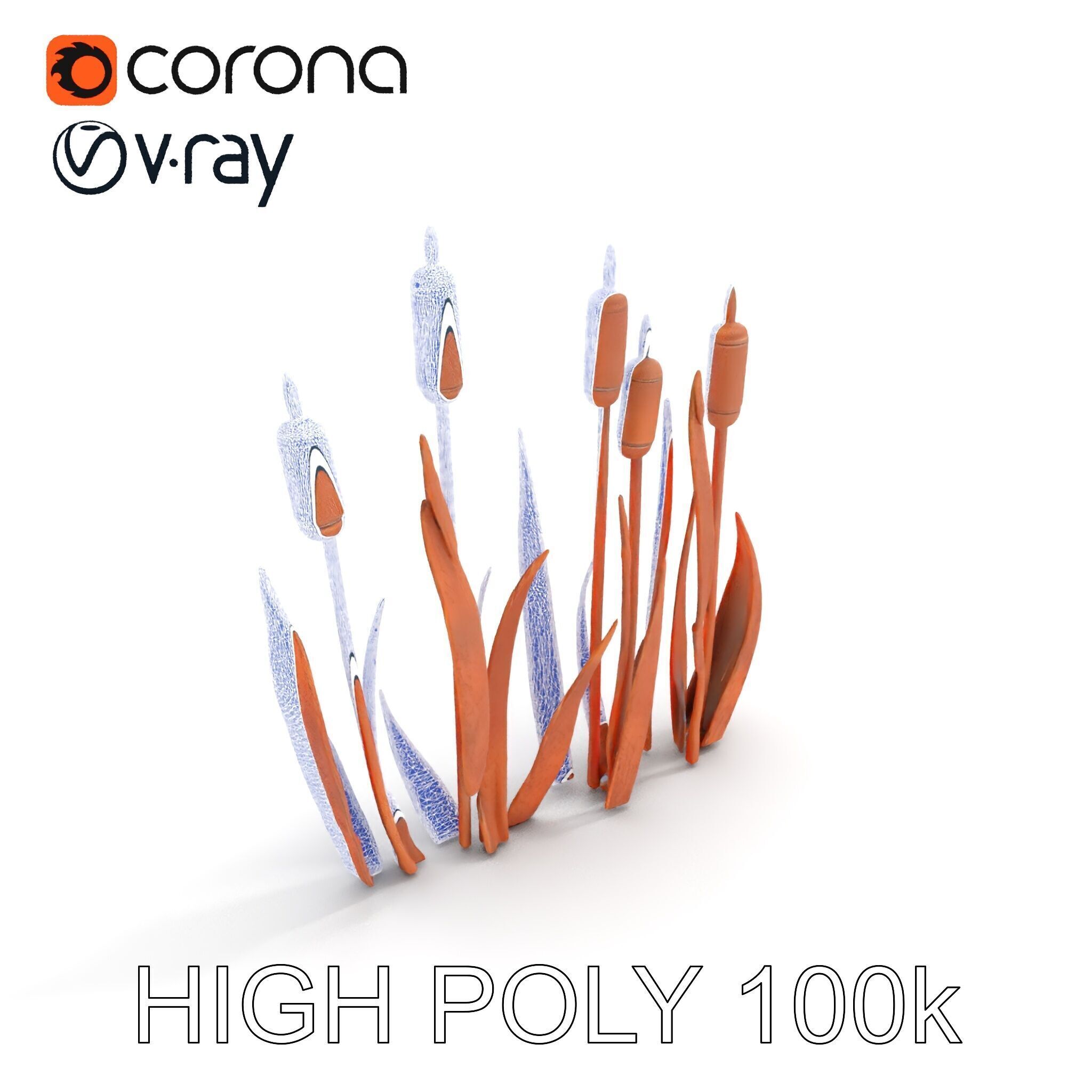 Rustic Cattail Reeds Model Pack Low-poly 3D model_31