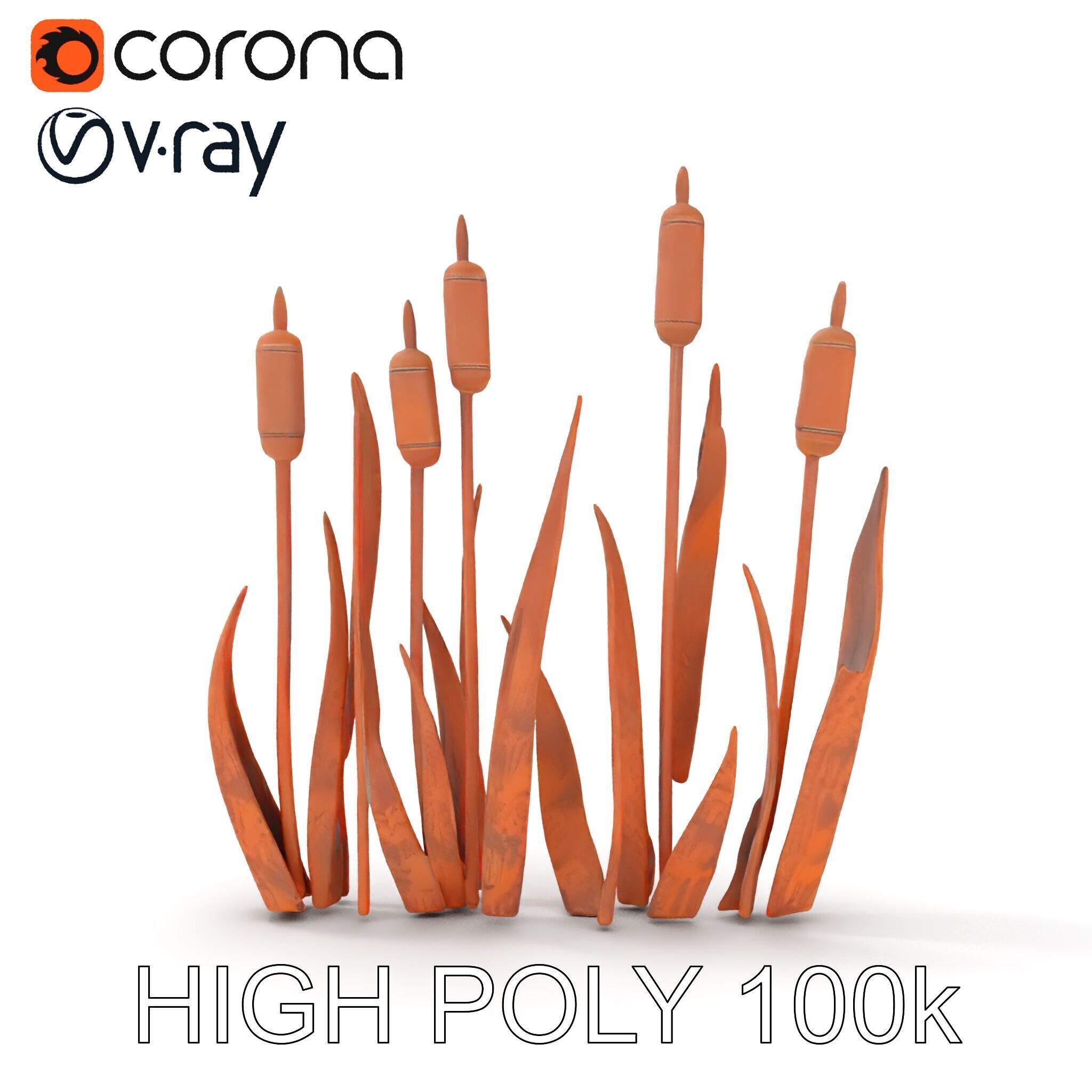 Rustic Cattail Reeds Model Pack Low-poly 3D model_30