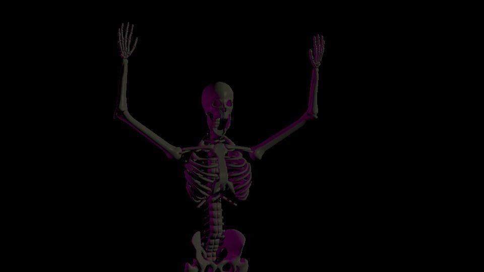 Rigged Human Skeleton 3D model_10