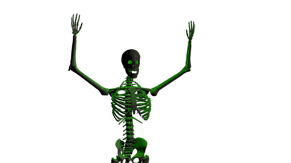 Rigged Human Skeleton 3D model_4