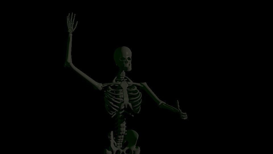 Rigged Human Skeleton 3D model_9