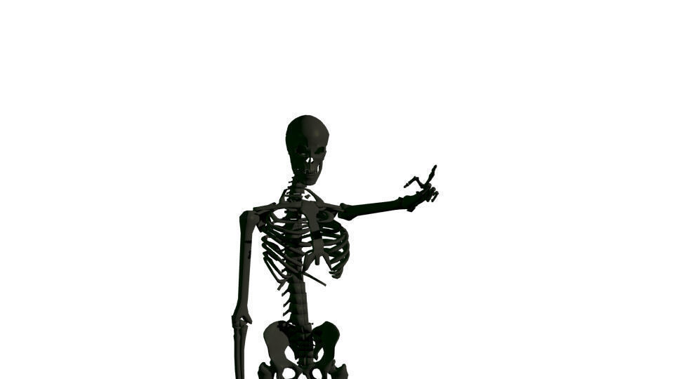 Rigged Human Skeleton 3D model_3