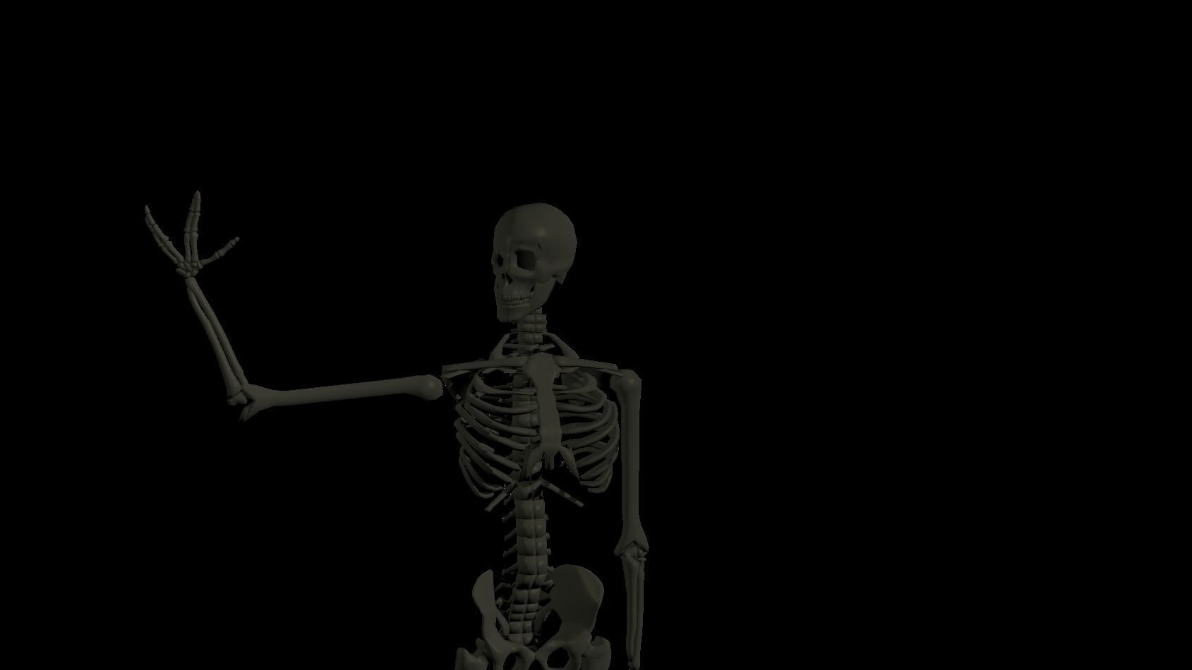 Rigged Human Skeleton 3D model_1