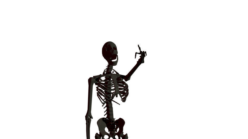 Rigged Human Skeleton 3D model_6
