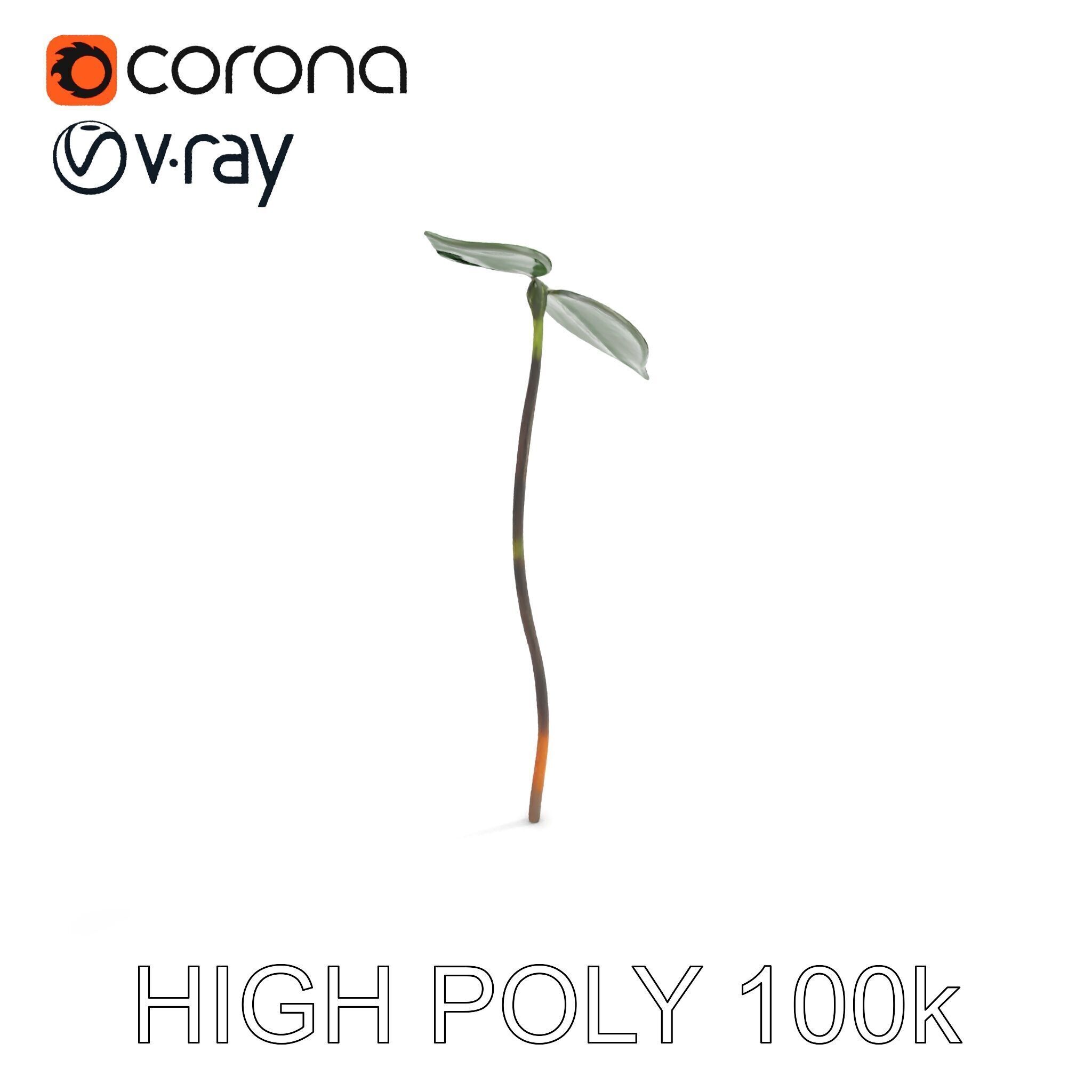 Young Plant Sprout Model Pack for Natural Environments Low-poly 3D model_16