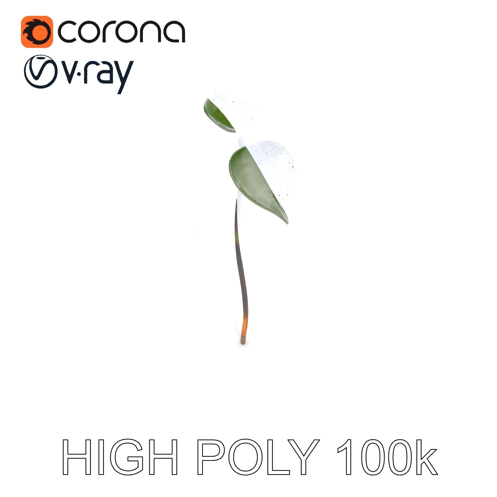 Young Plant Sprout Model Pack for Natural Environments Low-poly 3D model_13