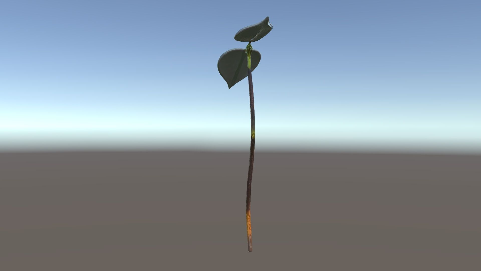 Young Plant Sprout Model Pack for Natural Environments Low-poly 3D model_6