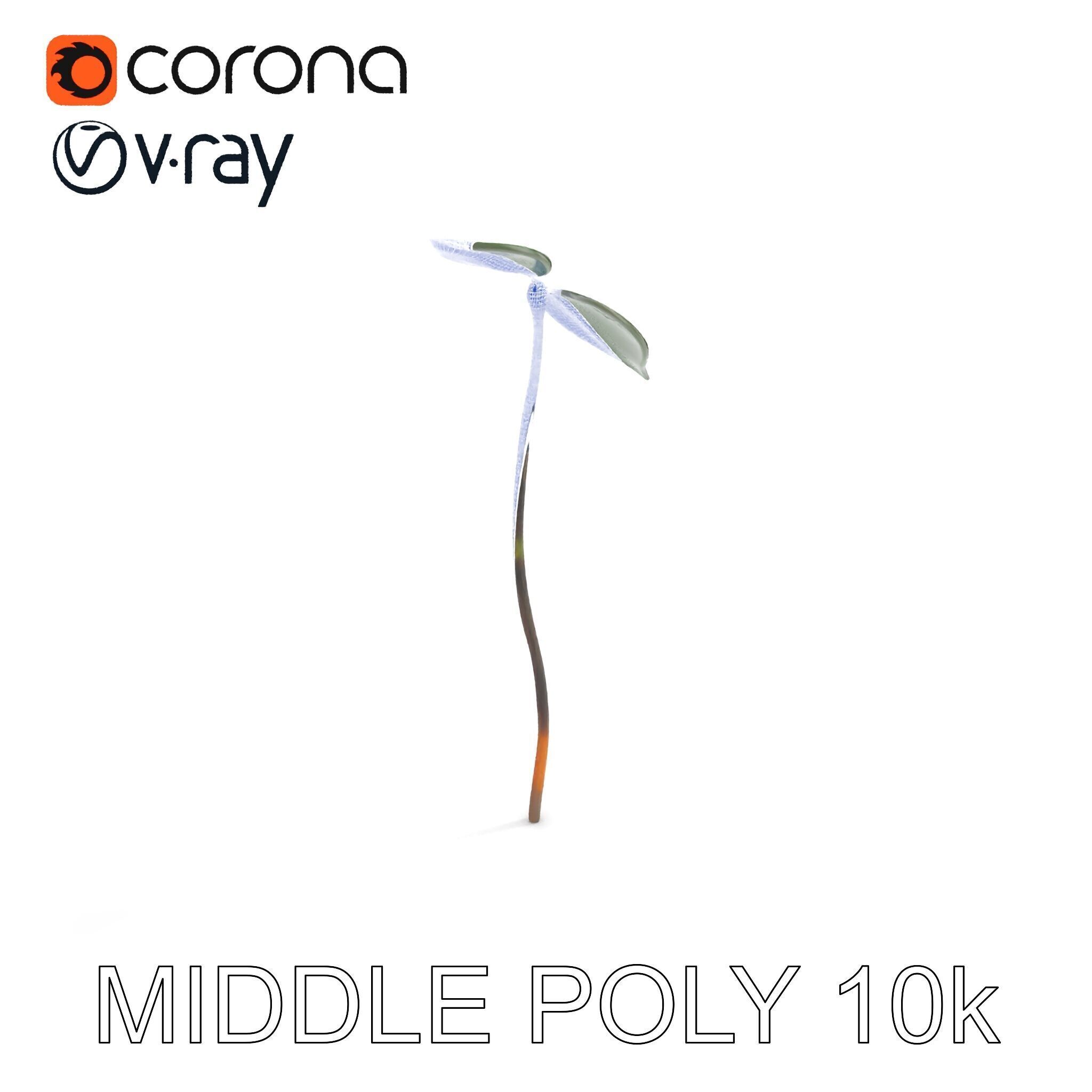 Young Plant Sprout Model Pack for Natural Environments Low-poly 3D model_20