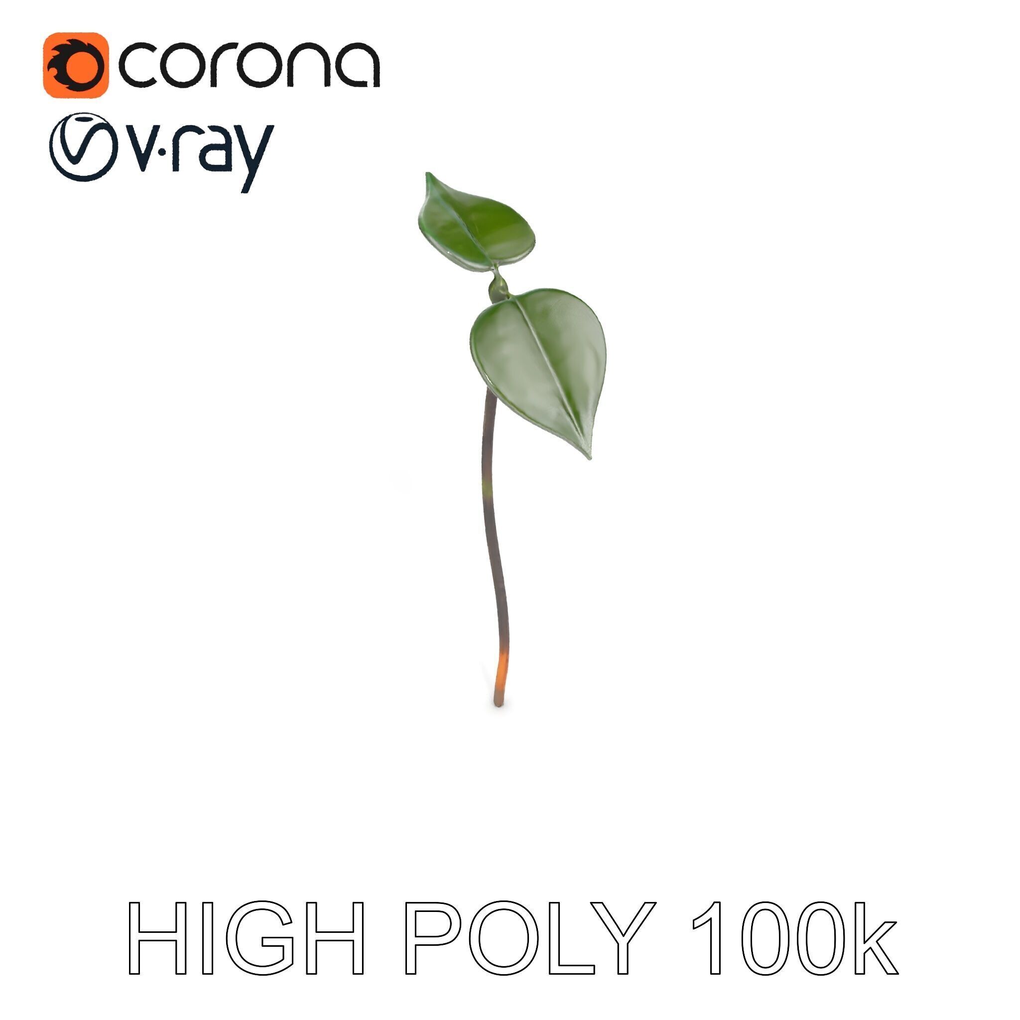 Young Plant Sprout Model Pack for Natural Environments Low-poly 3D model_33