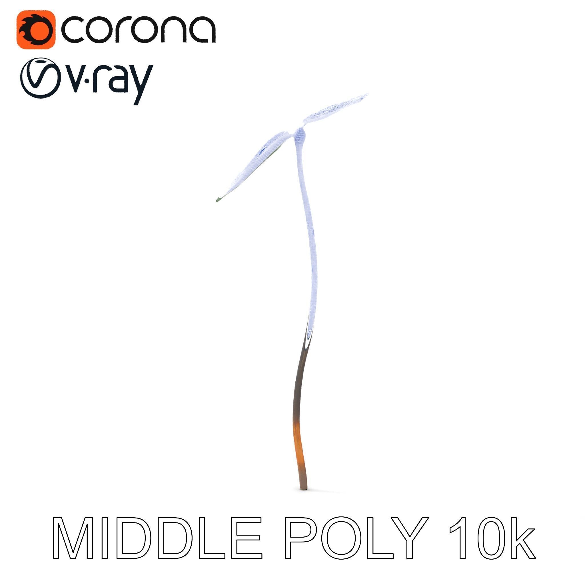 Young Plant Sprout Model Pack for Natural Environments Low-poly 3D model_14