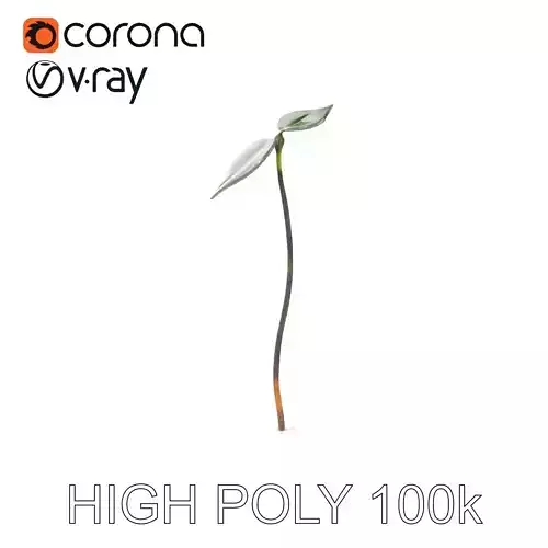 Young Plant Sprout Model Pack for Natural Environments