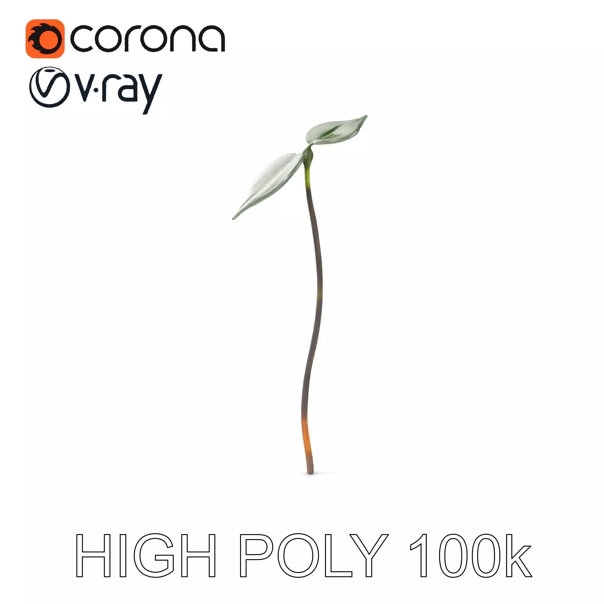 Young Plant Sprout Model Pack for Natural Environments Low-poly 3D model_0
