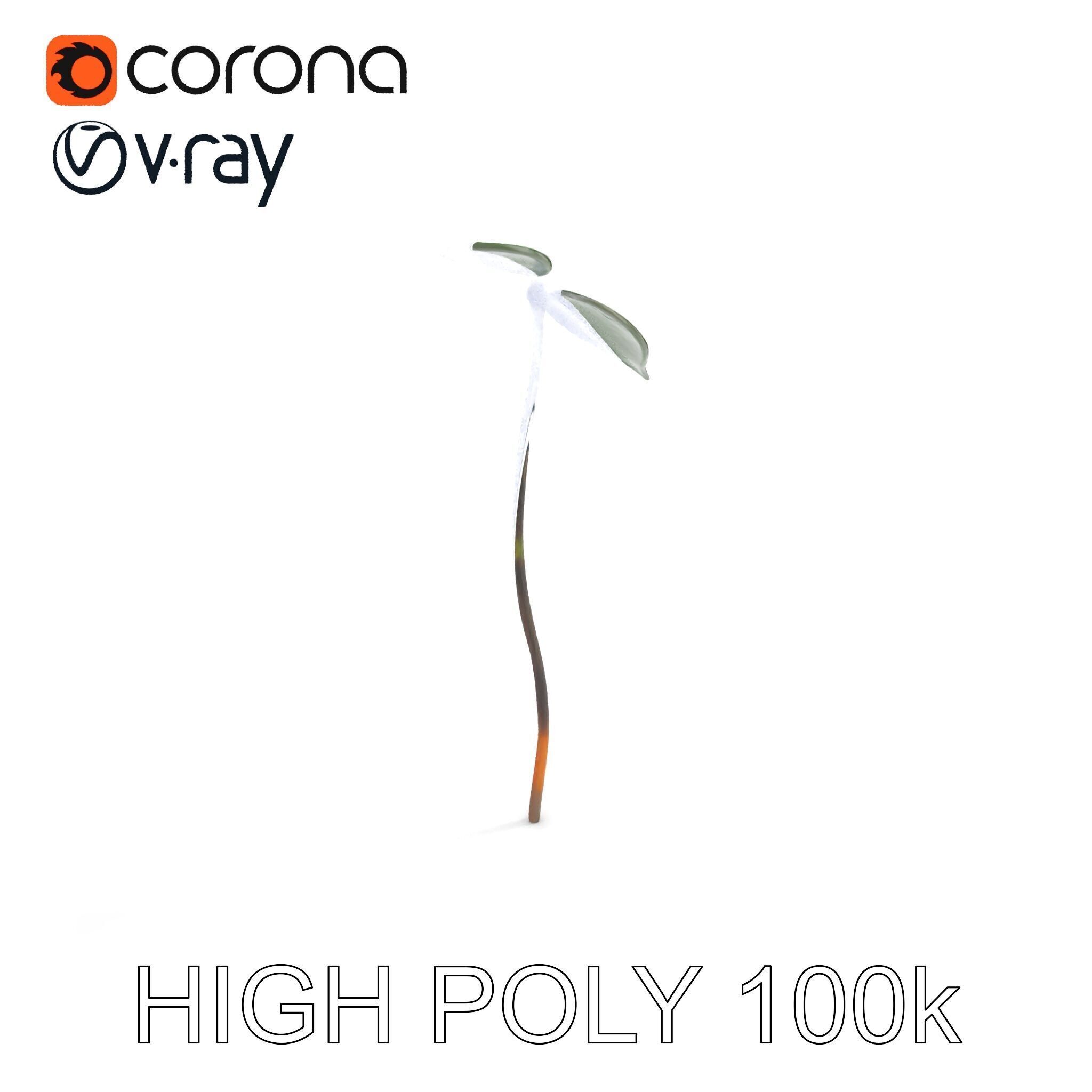 Young Plant Sprout Model Pack for Natural Environments Low-poly 3D model_27