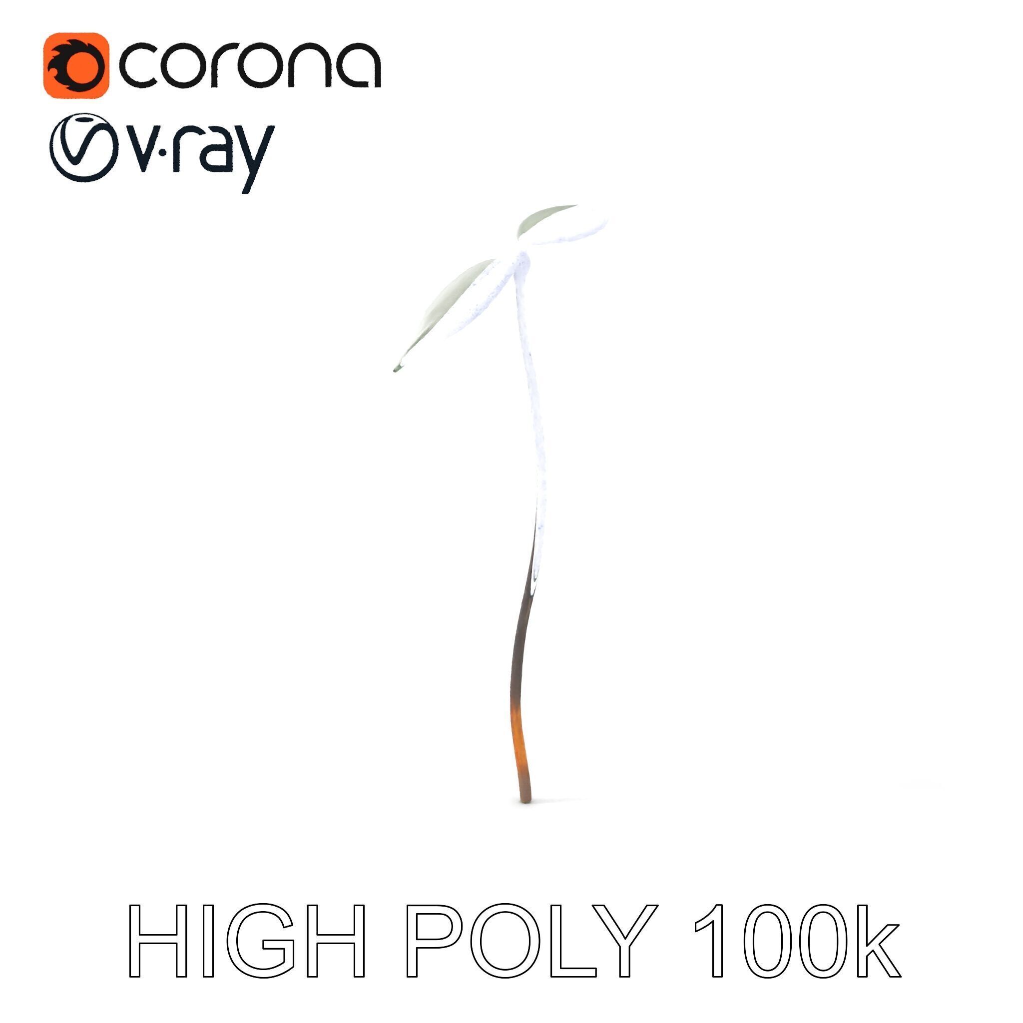 Young Plant Sprout Model Pack for Natural Environments Low-poly 3D model_5