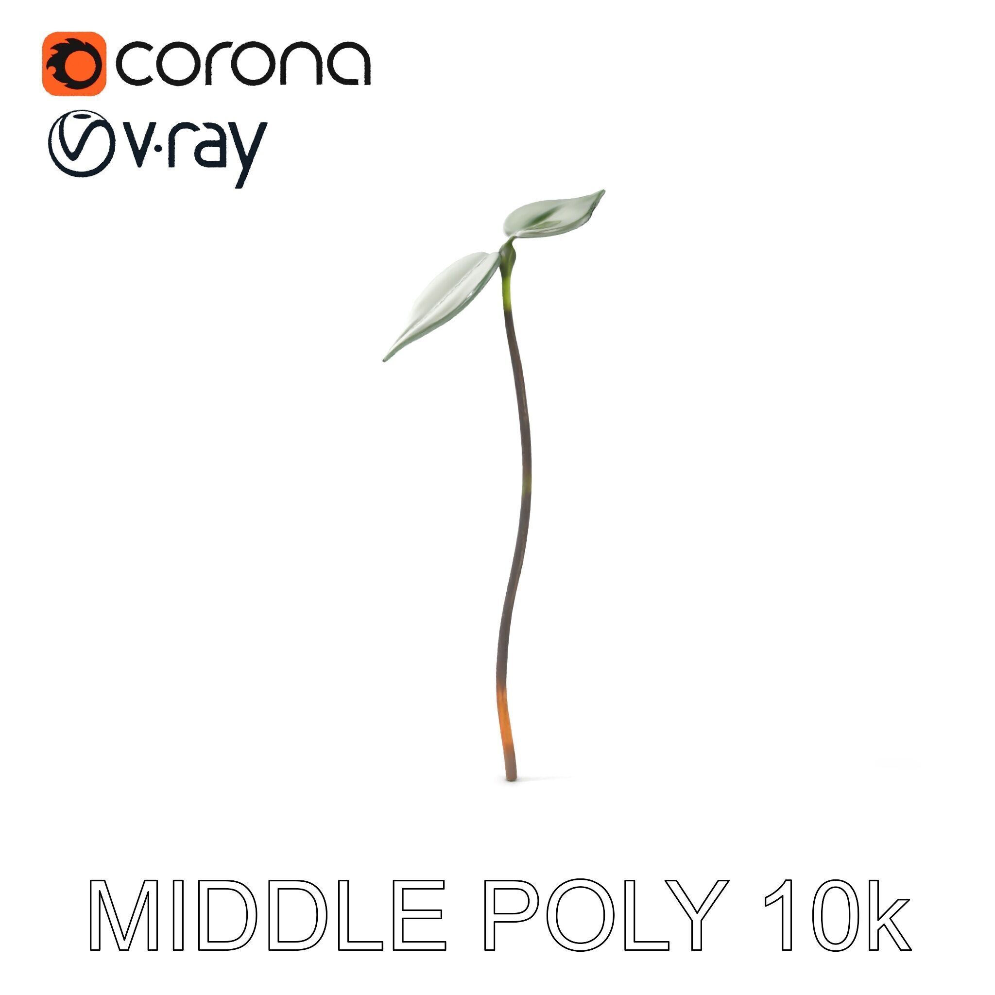 Young Plant Sprout Model Pack for Natural Environments Low-poly 3D model_11