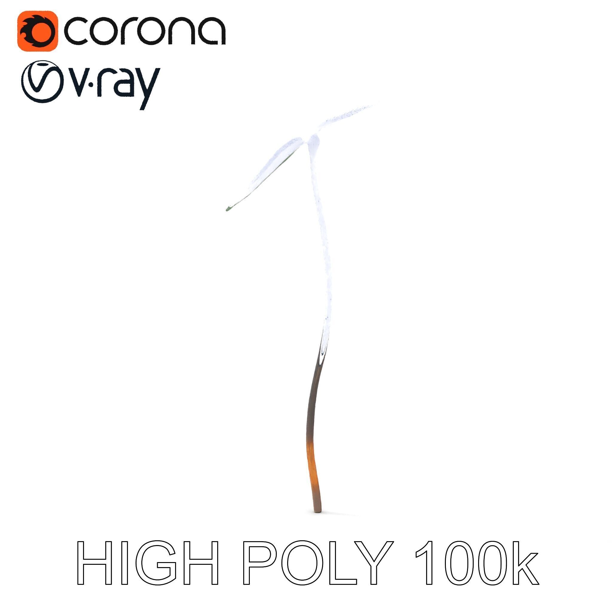 Young Plant Sprout Model Pack for Natural Environments Low-poly 3D model_24