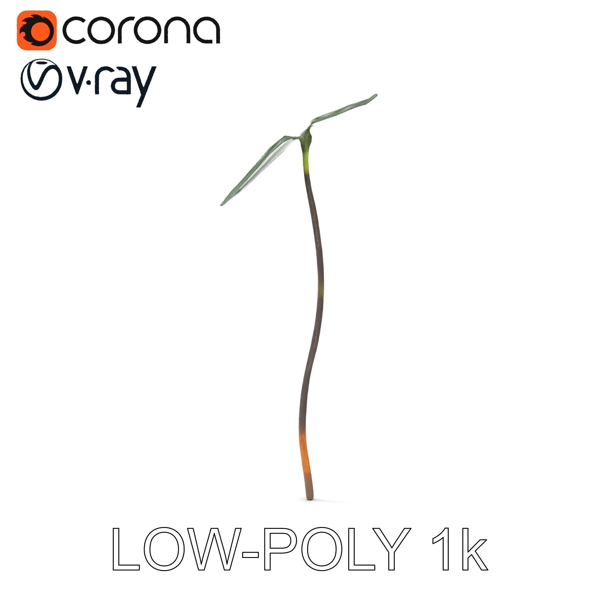 Young Plant Sprout Model Pack for Natural Environments Low-poly 3D model_26