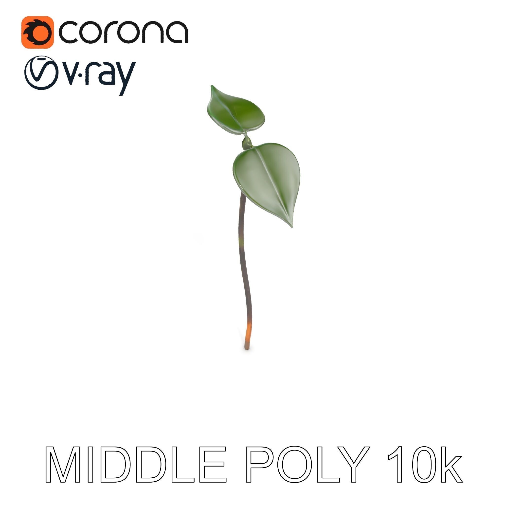 Young Plant Sprout Model Pack for Natural Environments Low-poly 3D model_9