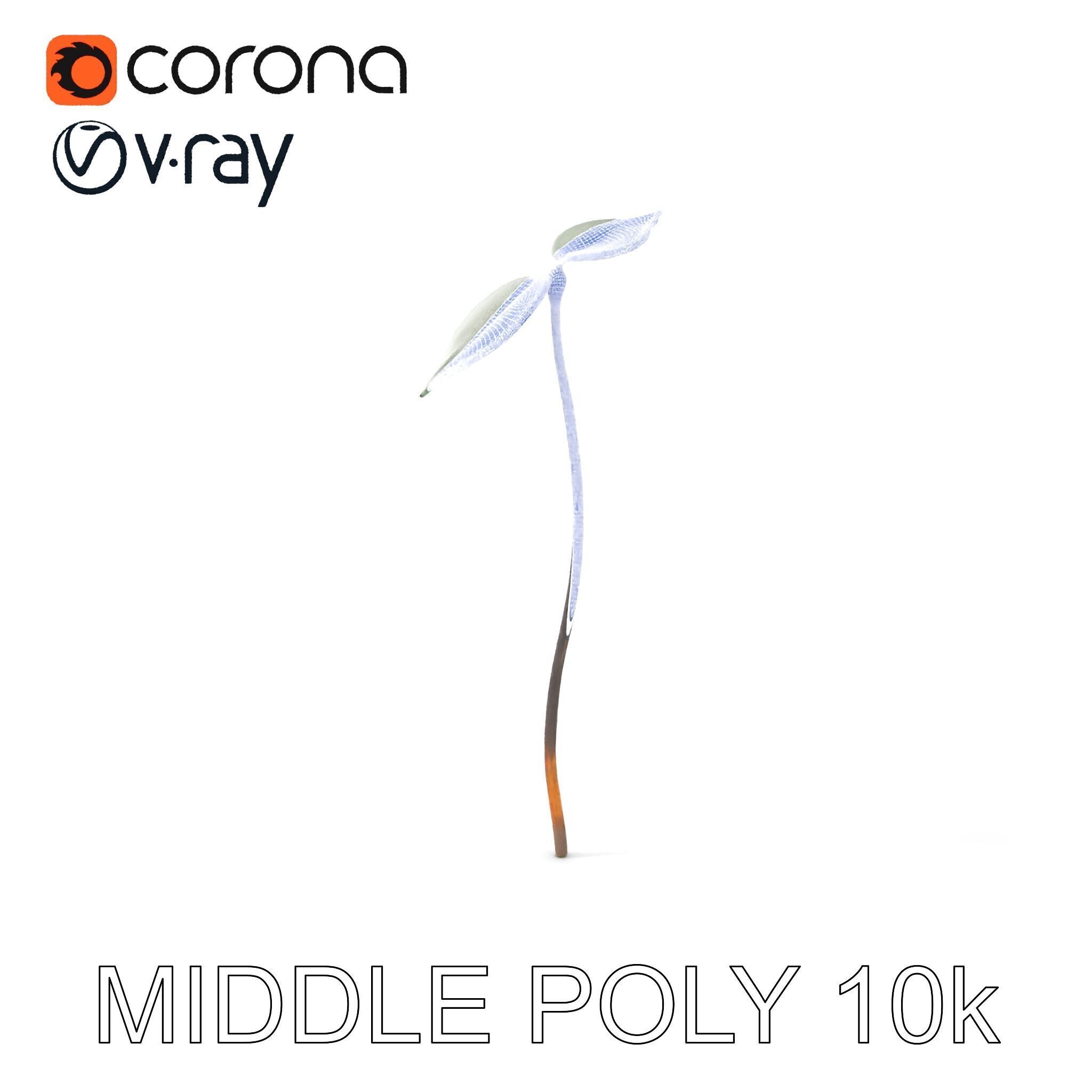 Young Plant Sprout Model Pack for Natural Environments Low-poly 3D model_25