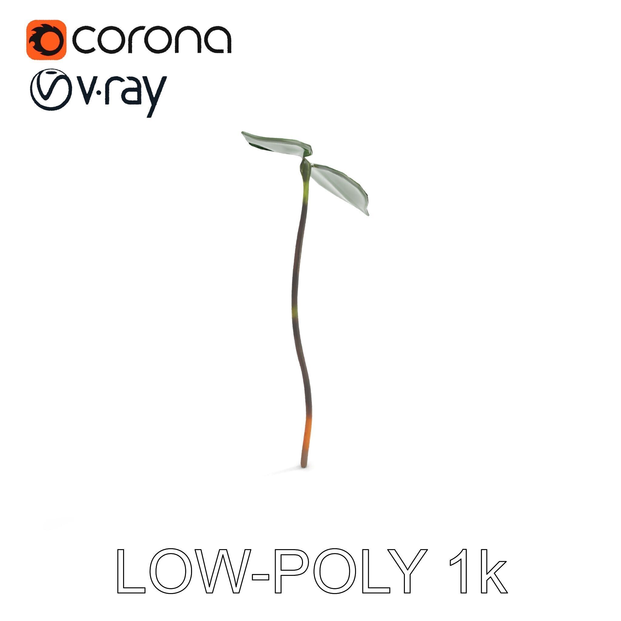 Young Plant Sprout Model Pack for Natural Environments Low-poly 3D model_8