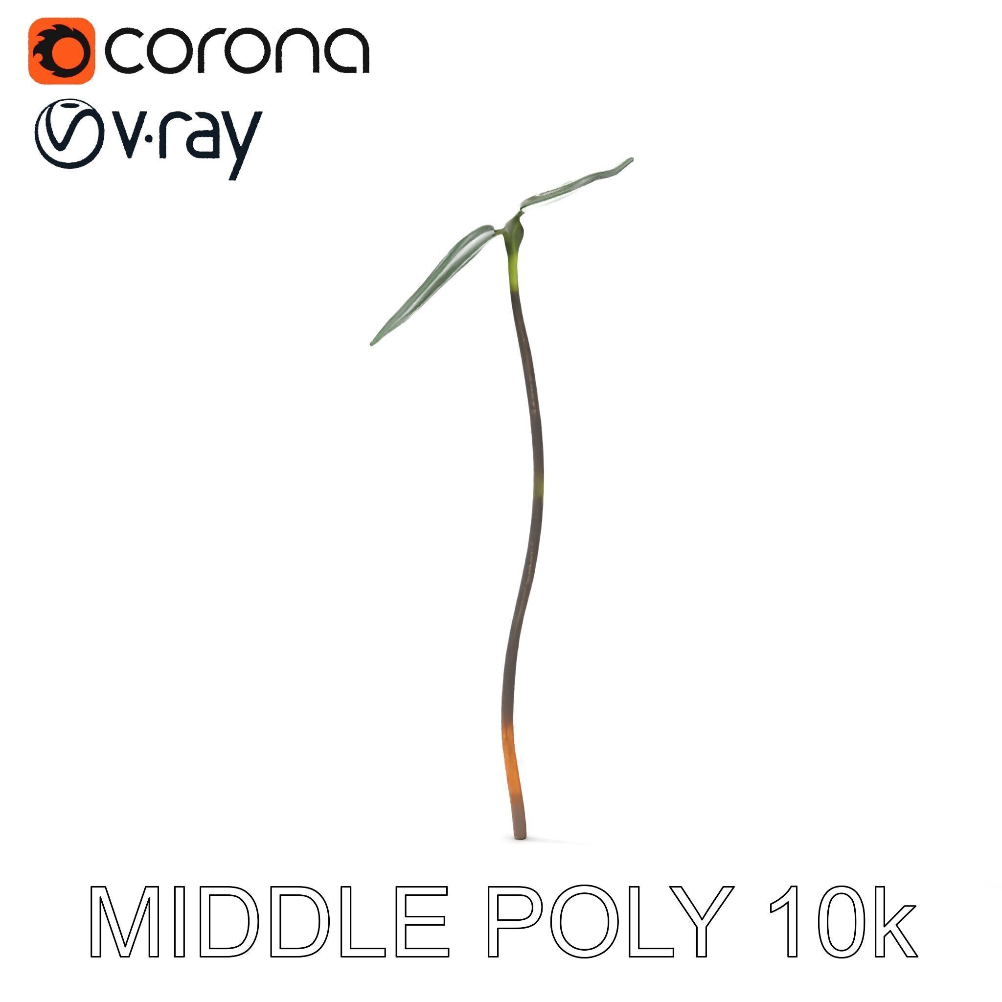 Young Plant Sprout Model Pack for Natural Environments Low-poly 3D model_17