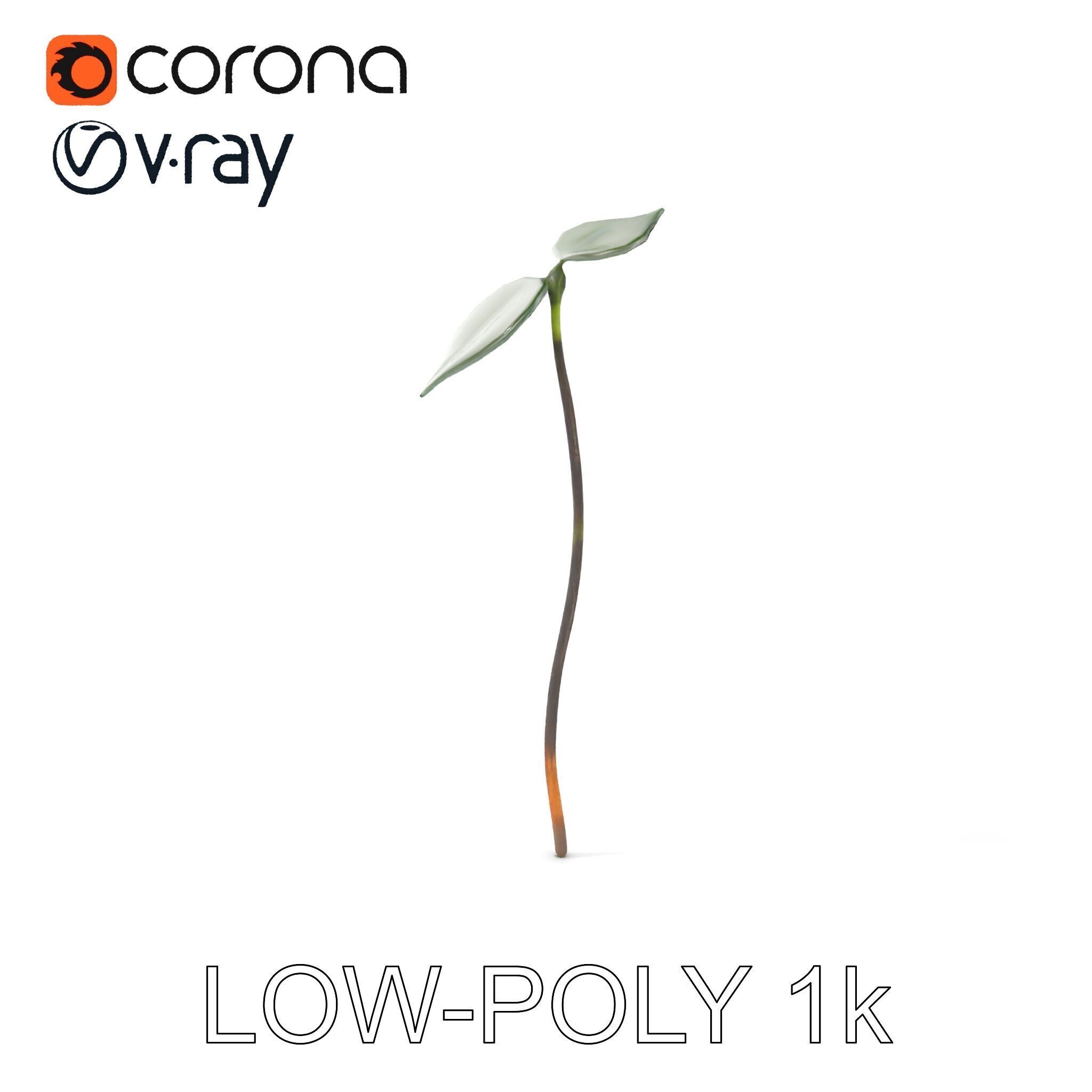 Young Plant Sprout Model Pack for Natural Environments Low-poly 3D model_12