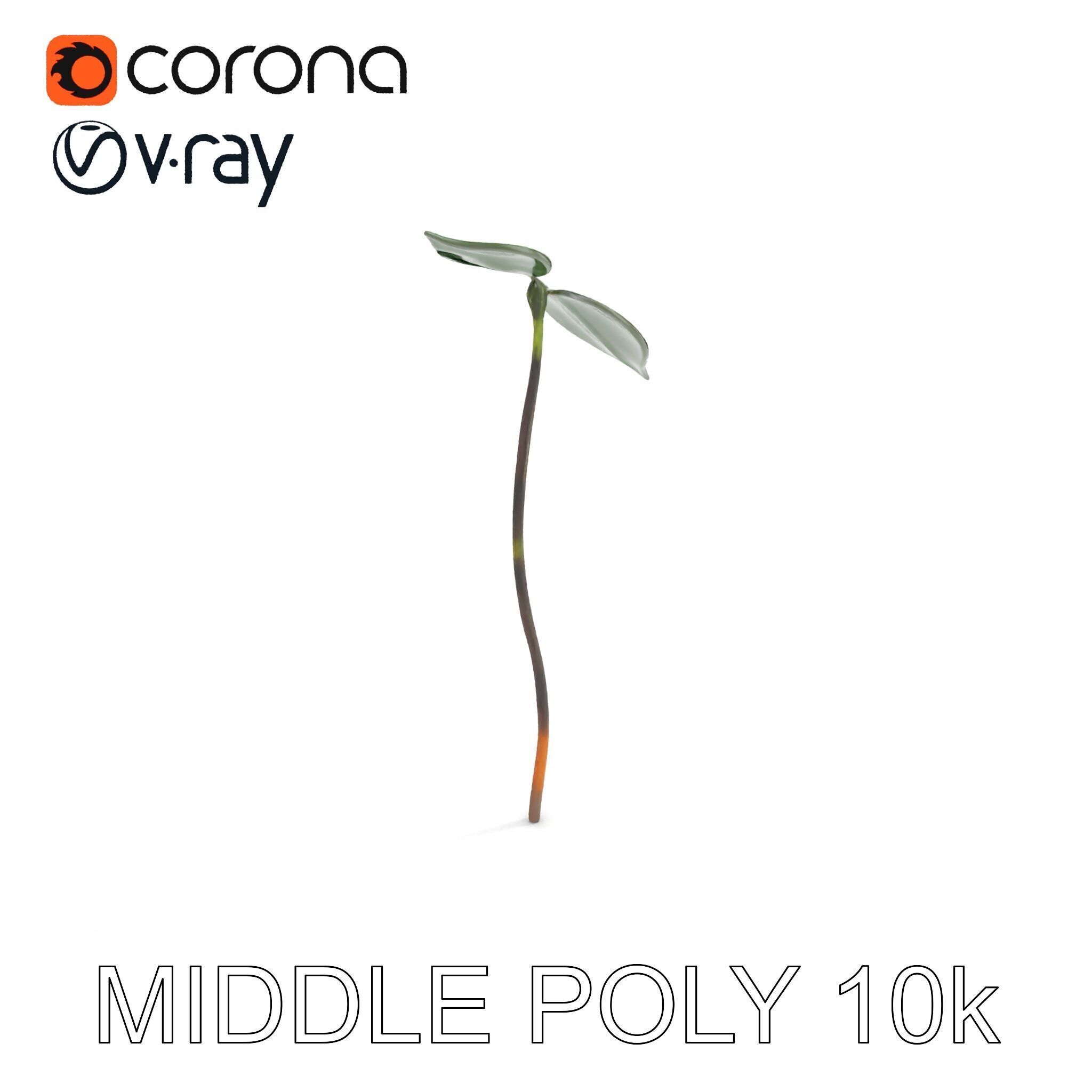 Young Plant Sprout Model Pack for Natural Environments Low-poly 3D model_22