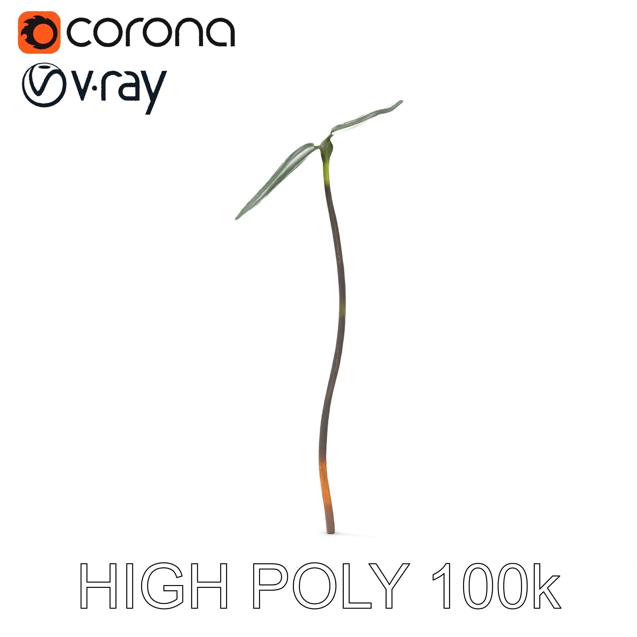 Young Plant Sprout Model Pack for Natural Environments Low-poly 3D model_19