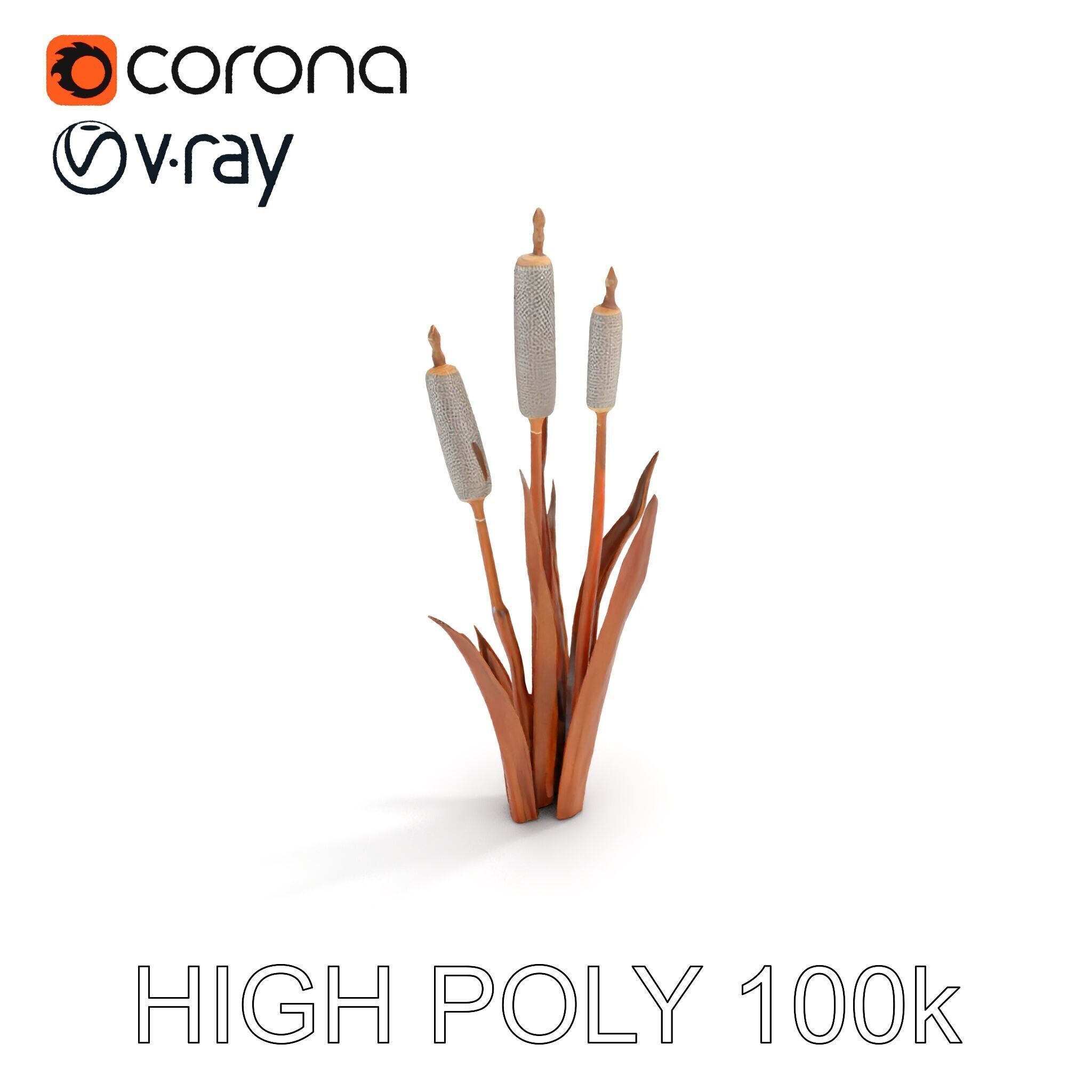 Cattail Plant Model Pack for Environment Design Low-poly 3D model_15