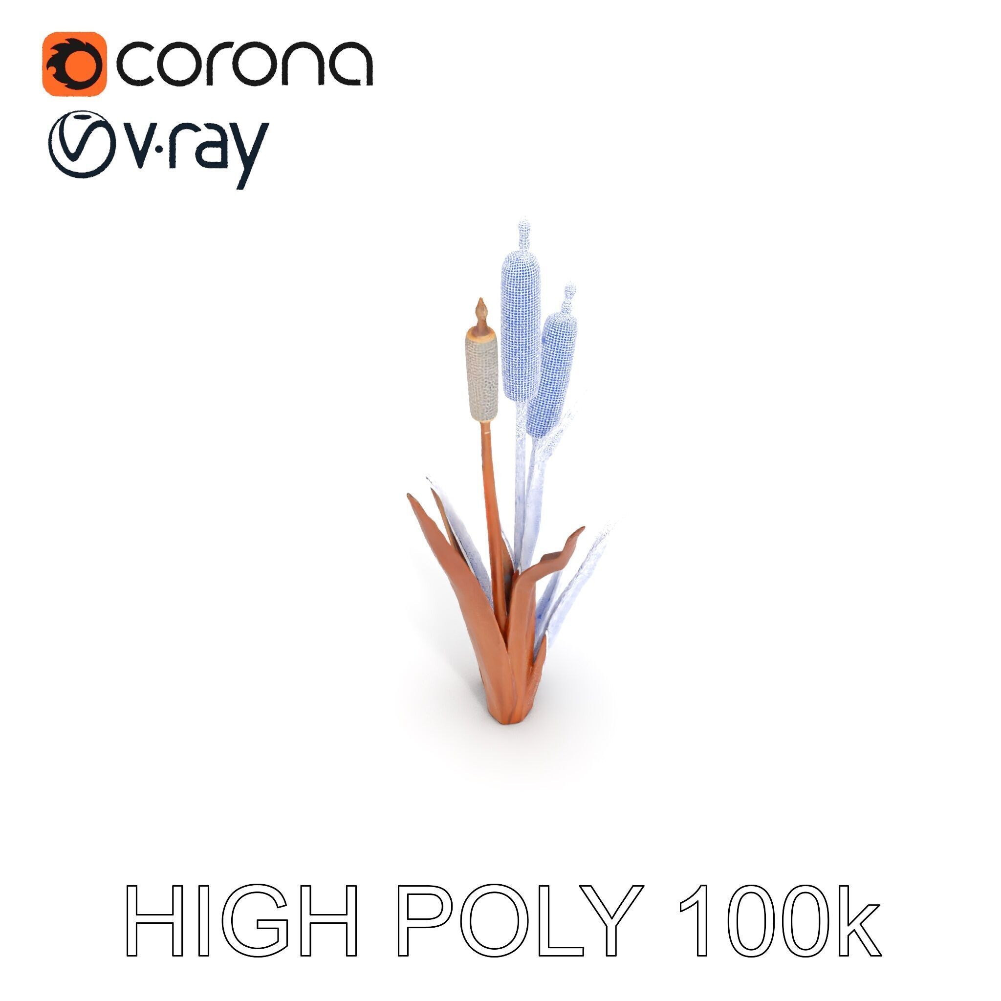 Cattail Plant Model Pack for Environment Design Low-poly 3D model_29