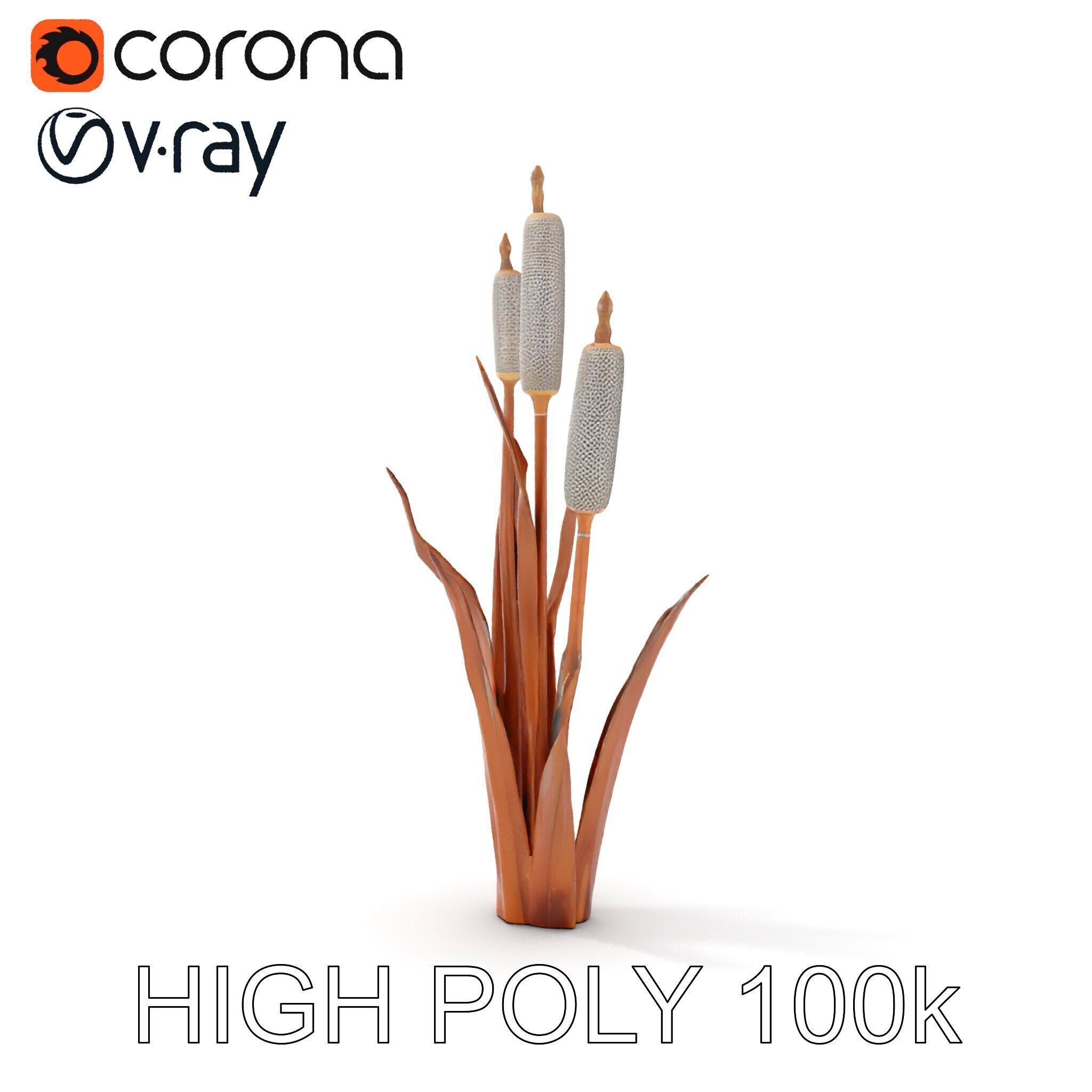 Cattail Plant Model Pack for Environment Design Low-poly 3D model_21