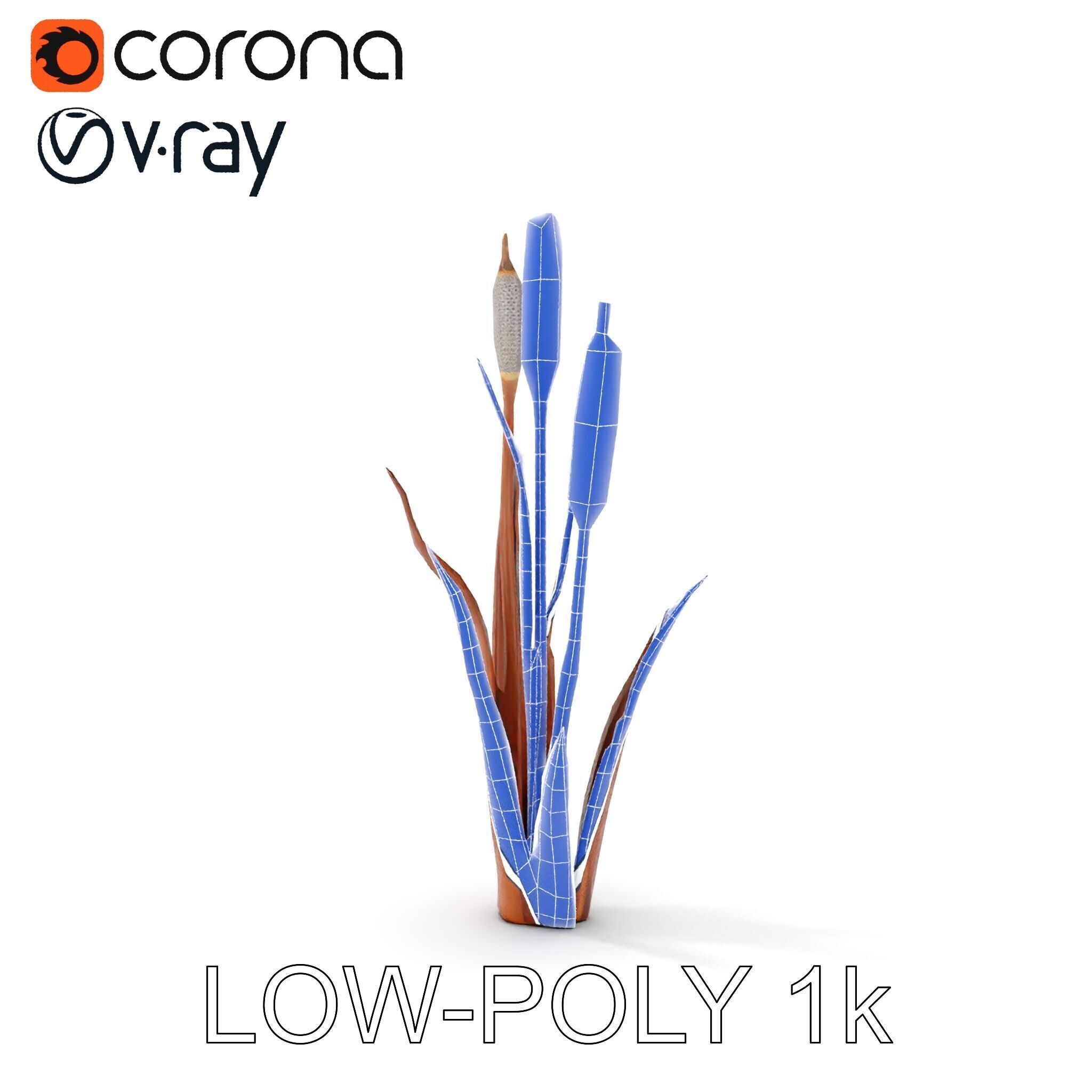 Cattail Plant Model Pack for Environment Design Low-poly 3D model_28