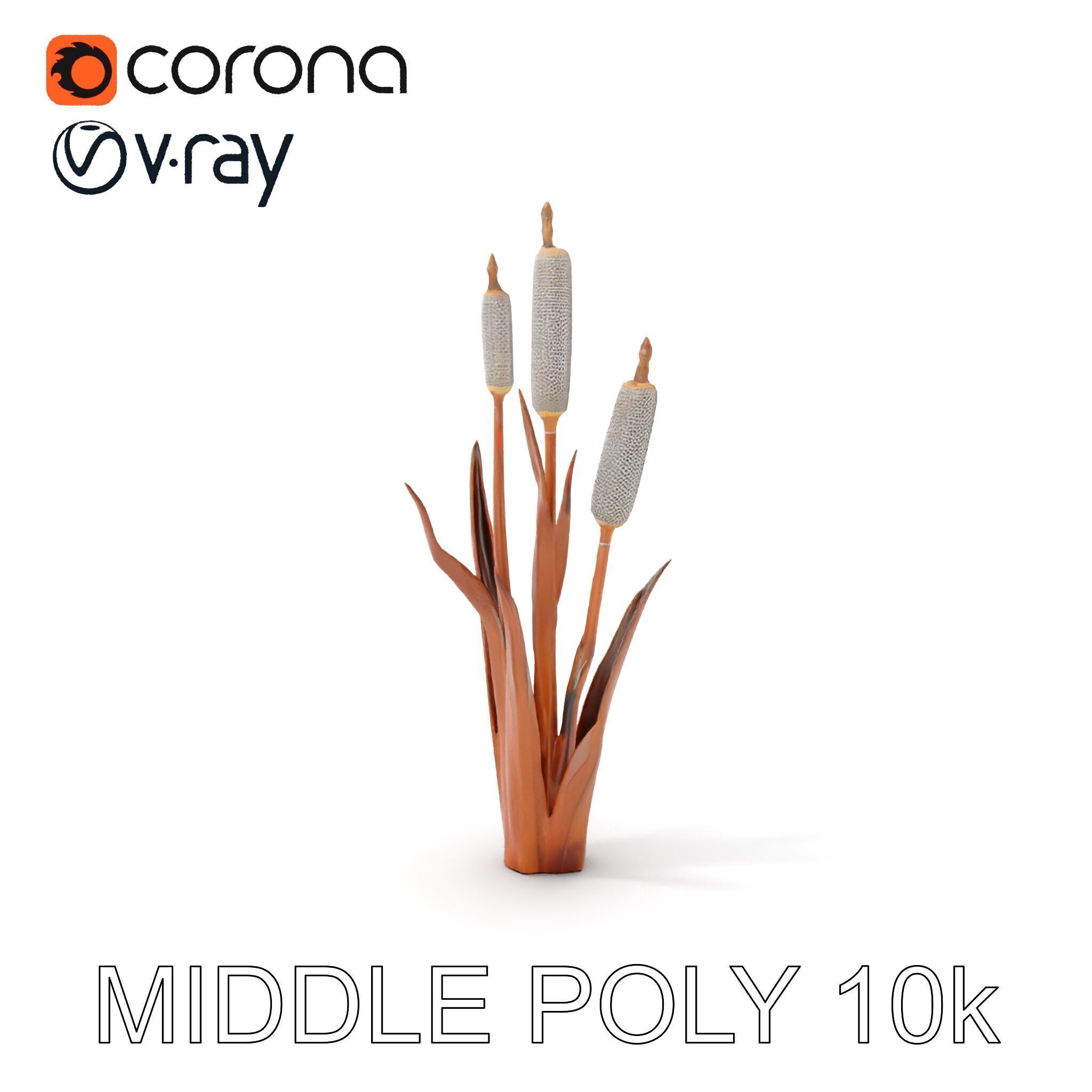 Cattail Plant Model Pack for Environment Design Low-poly 3D model_6