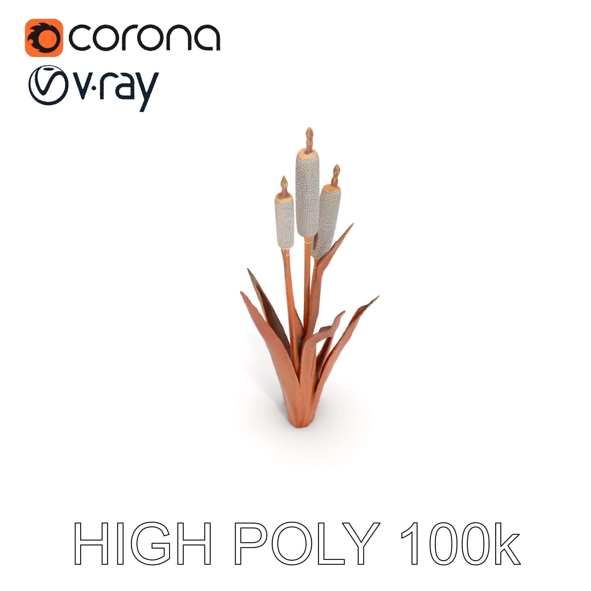 Cattail Plant Model Pack for Environment Design Low-poly 3D model_24