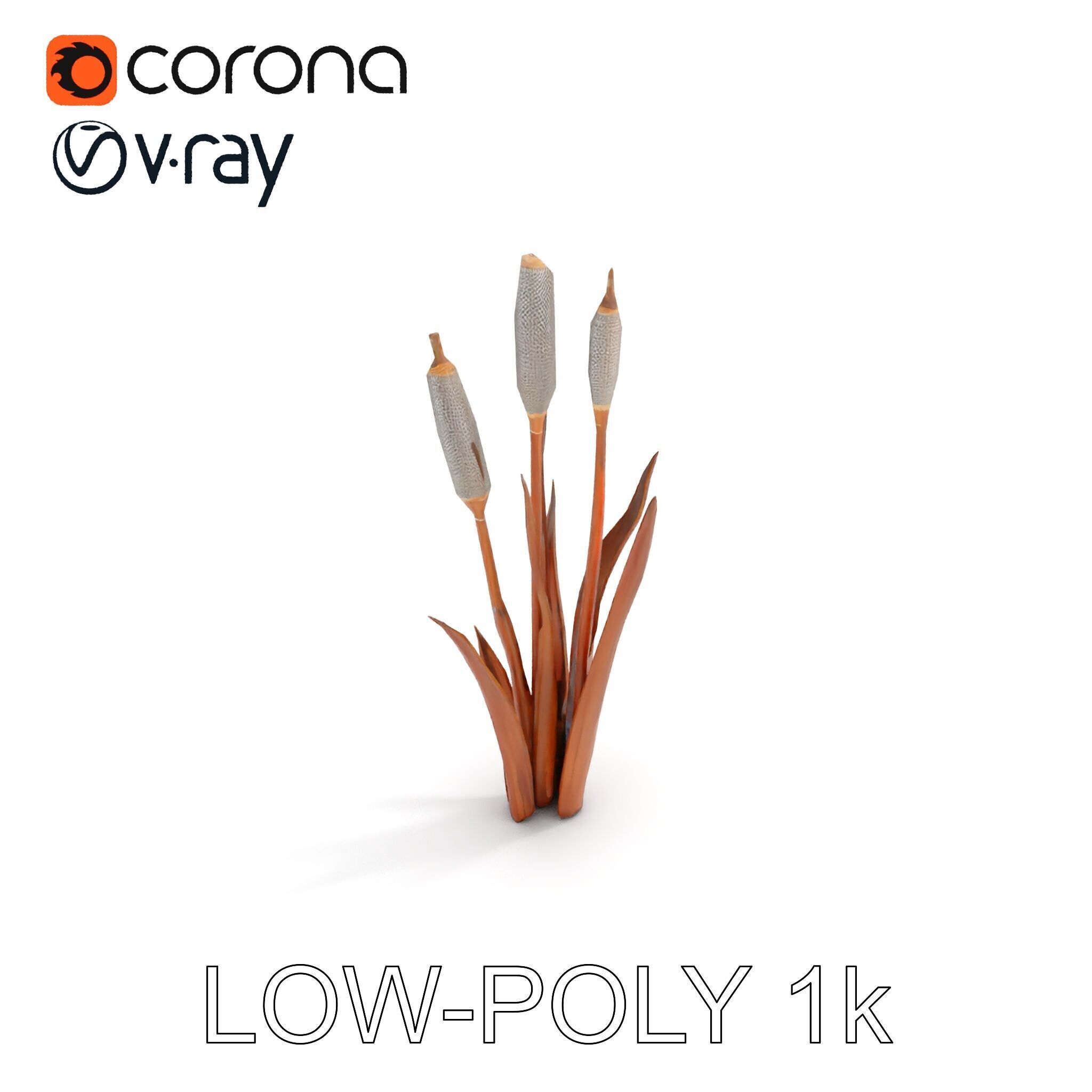 Cattail Plant Model Pack for Environment Design Low-poly 3D model_9