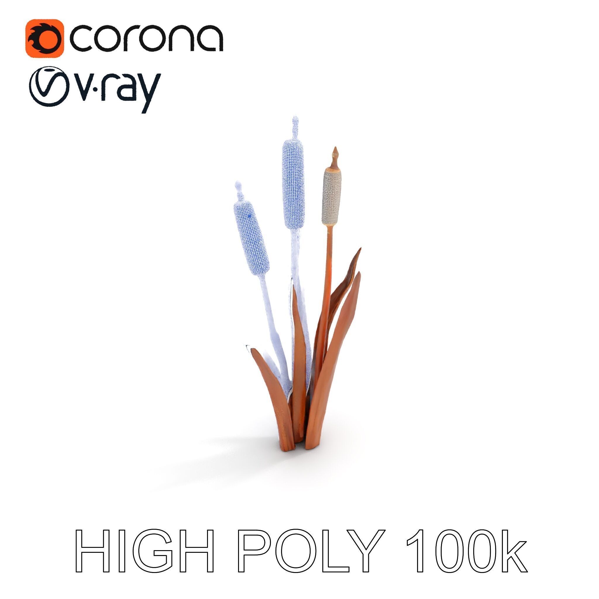 Cattail Plant Model Pack for Environment Design Low-poly 3D model_18