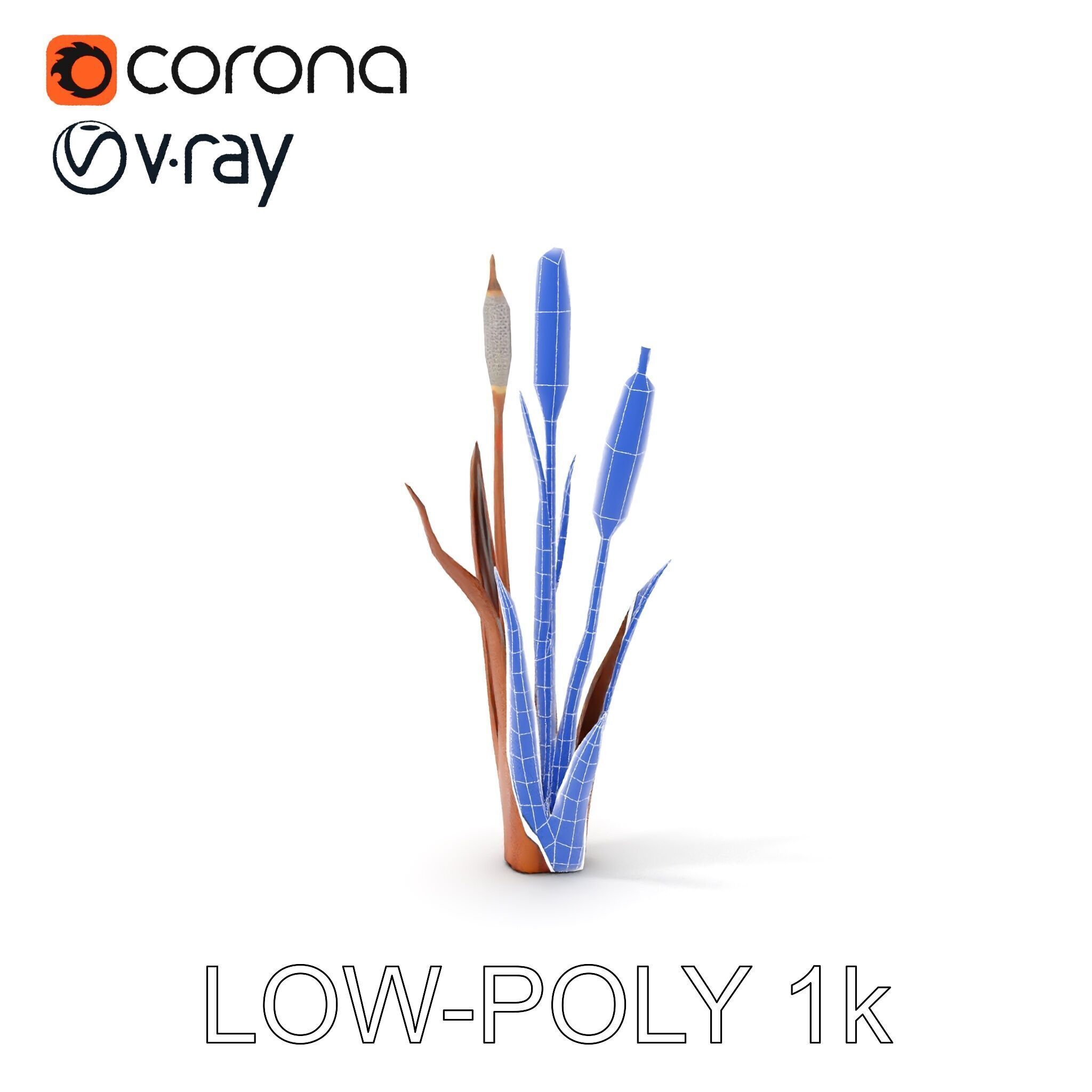 Cattail Plant Model Pack for Environment Design Low-poly 3D model_20