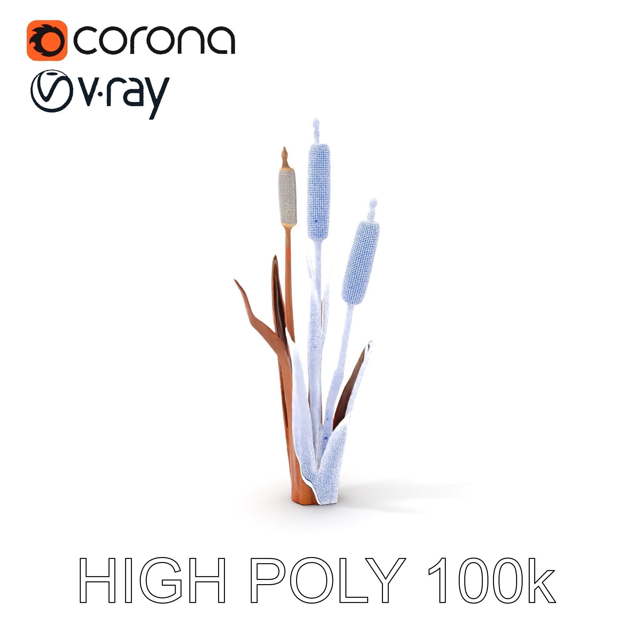 Cattail Plant Model Pack for Environment Design Low-poly 3D model_4