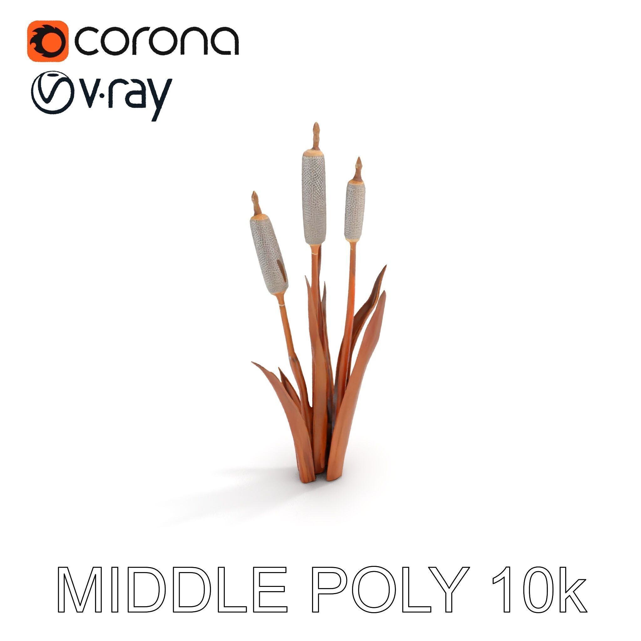 Cattail Plant Model Pack for Environment Design Low-poly 3D model_16