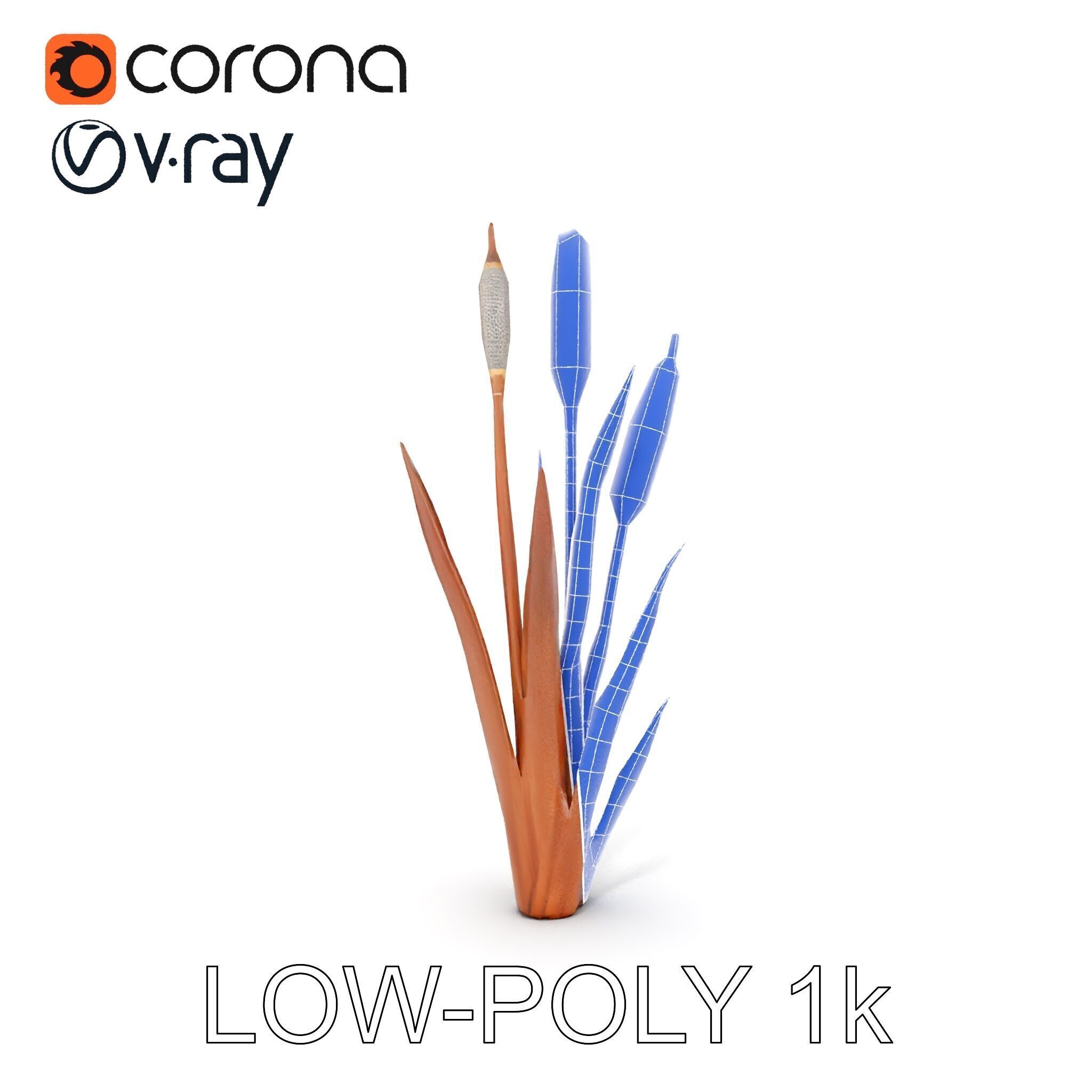 Cattail Plant Model Pack for Environment Design Low-poly 3D model_31