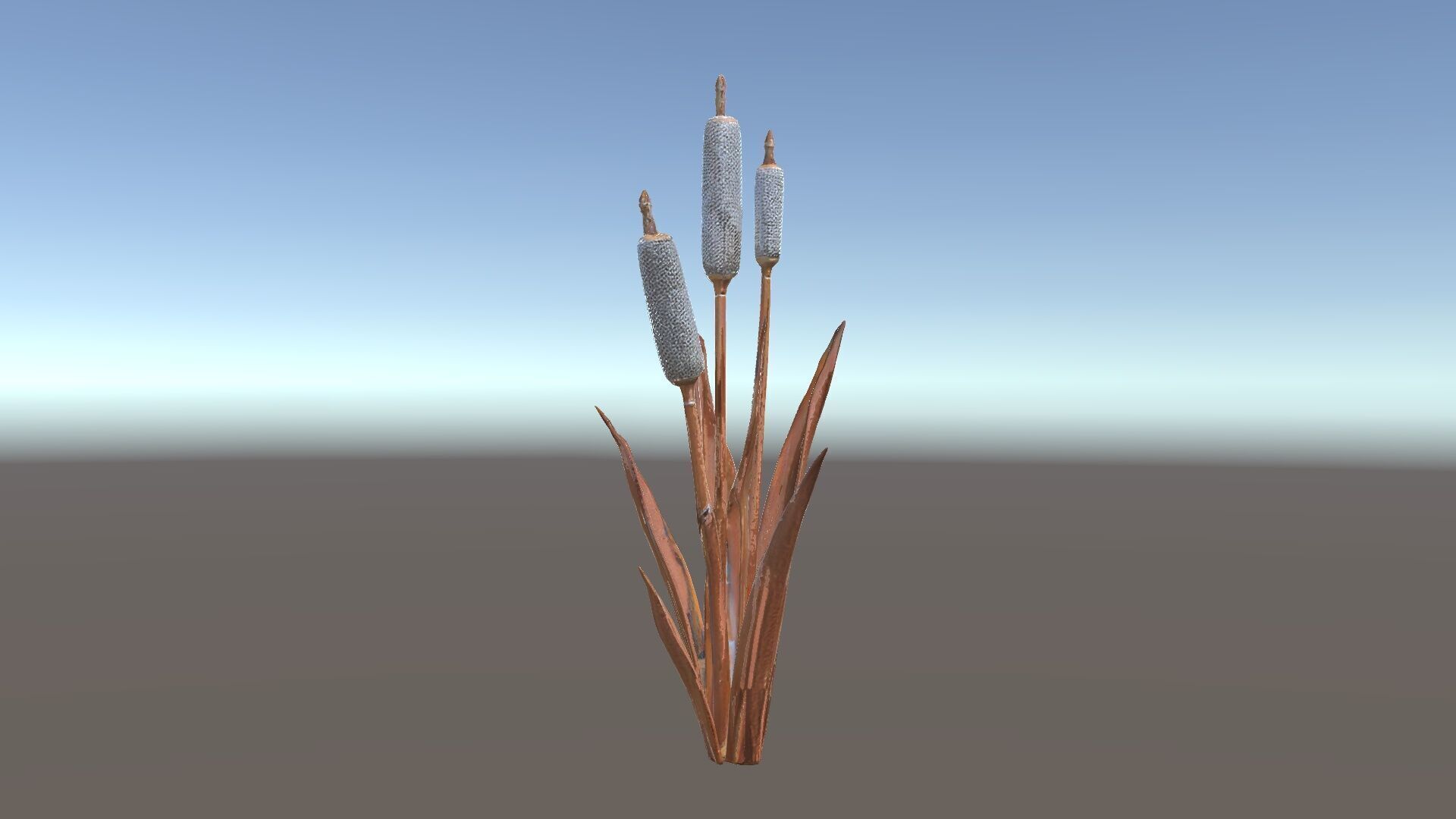 Cattail Plant Model Pack for Environment Design Low-poly 3D model_33