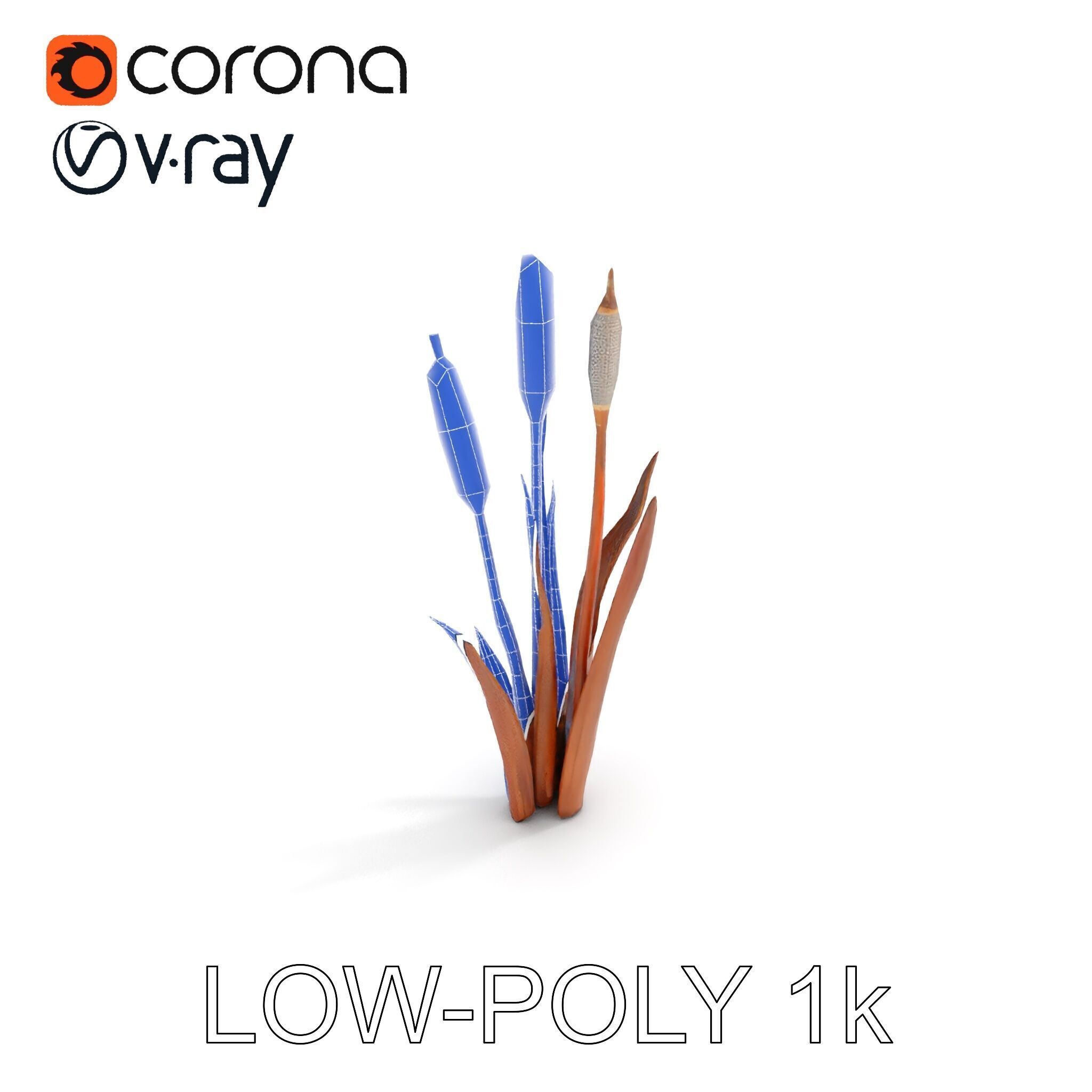 Cattail Plant Model Pack for Environment Design Low-poly 3D model_26