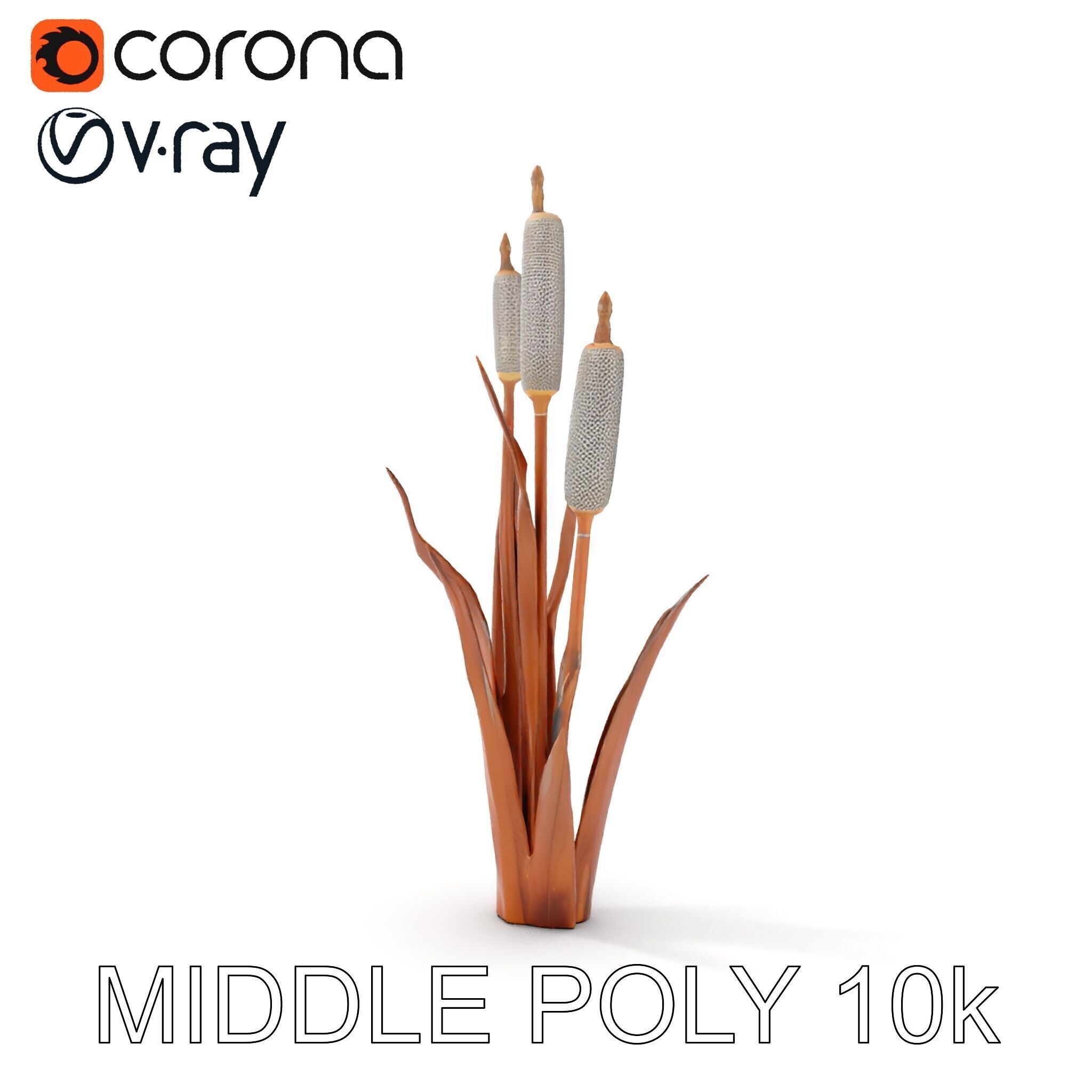 Cattail Plant Model Pack for Environment Design Low-poly 3D model_19