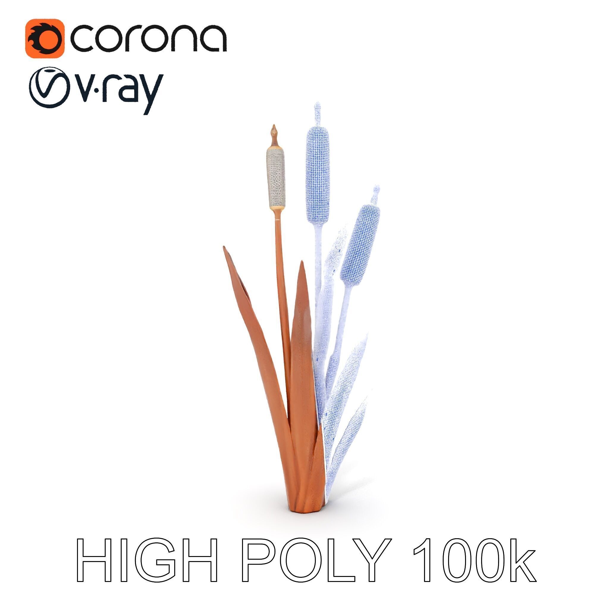 Cattail Plant Model Pack for Environment Design Low-poly 3D model_32