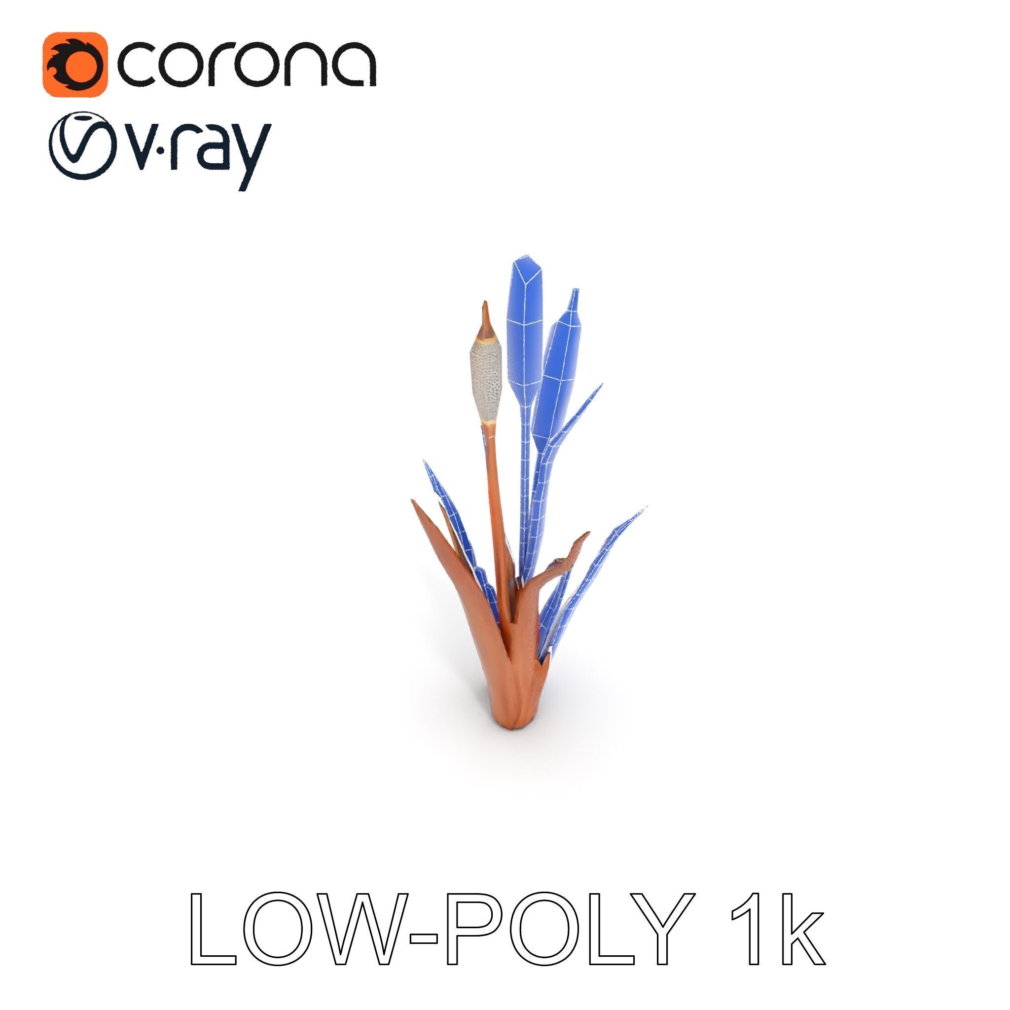 Cattail Plant Model Pack for Environment Design Low-poly 3D model_14