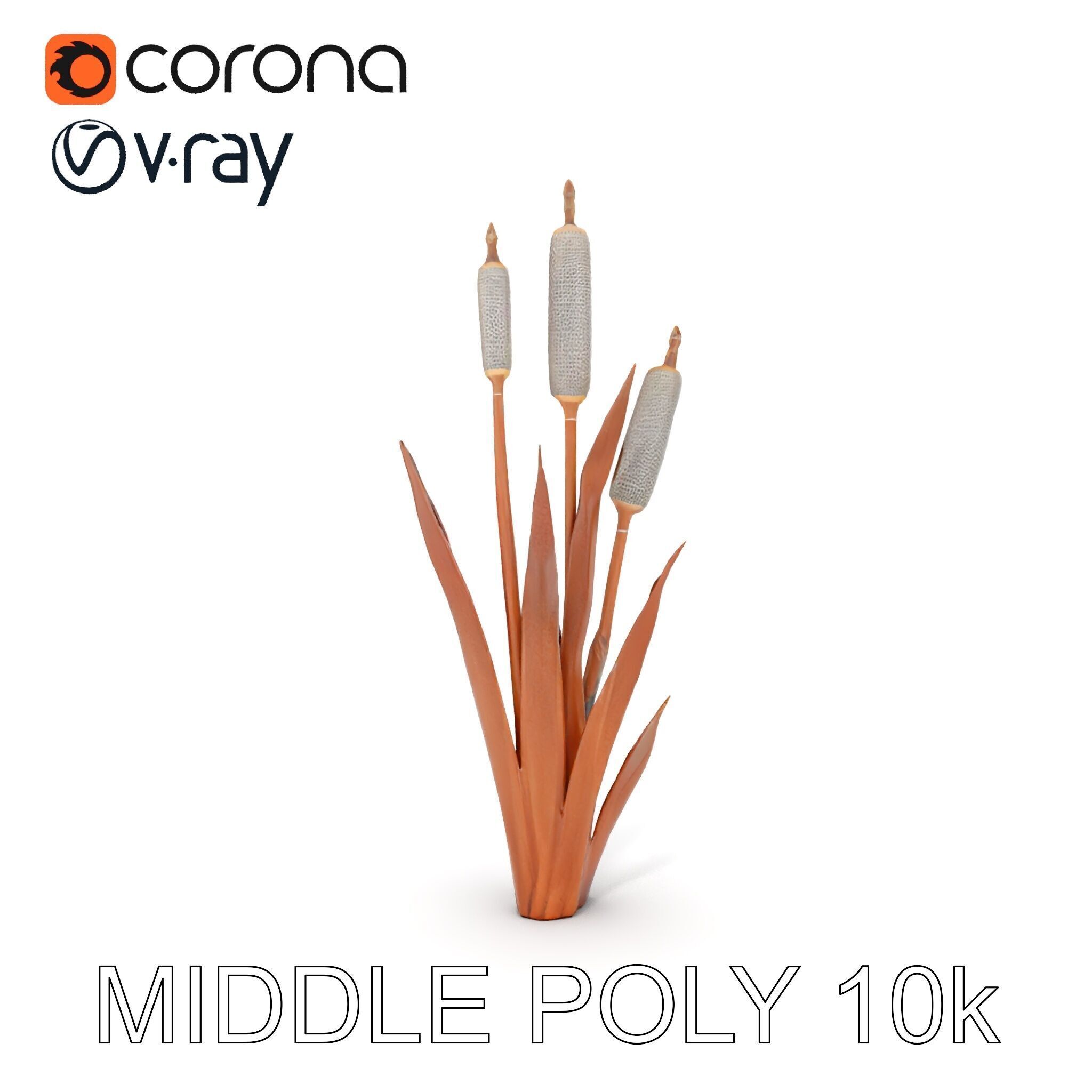 Cattail Plant Model Pack for Environment Design Low-poly 3D model_10