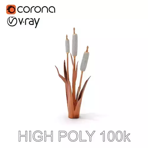 Cattail Plant Model Pack for Environment Design Low-poly 3D model