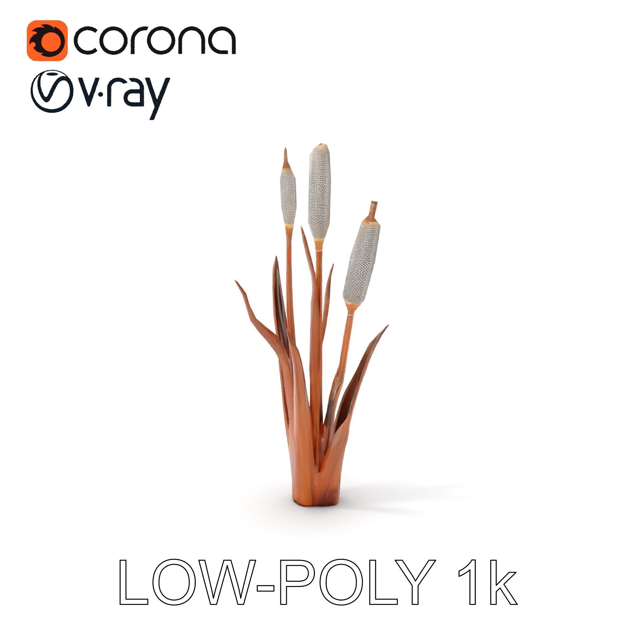 Cattail Plant Model Pack for Environment Design Low-poly 3D model_7